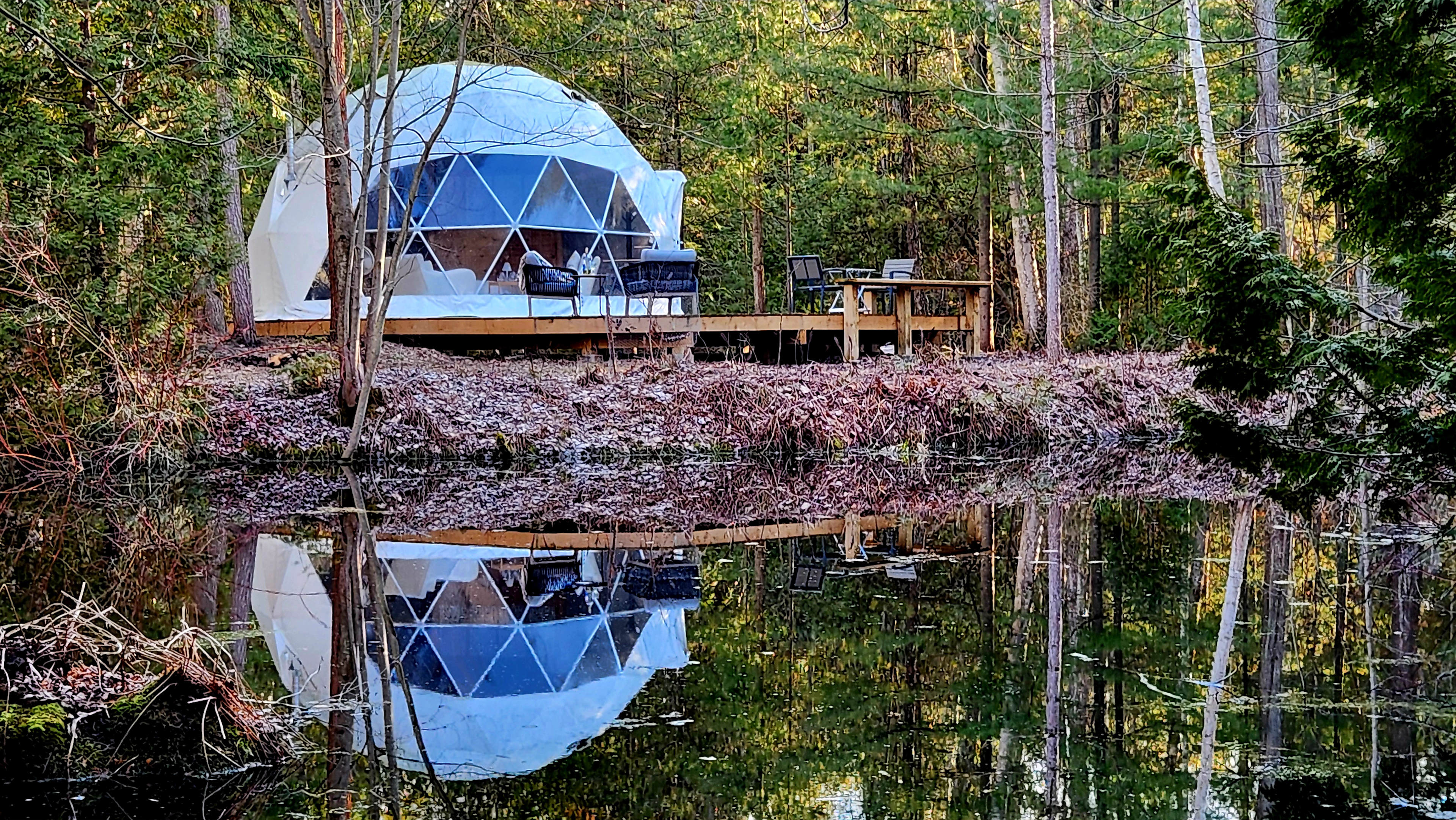 Woodlands Dome - A charming getaway