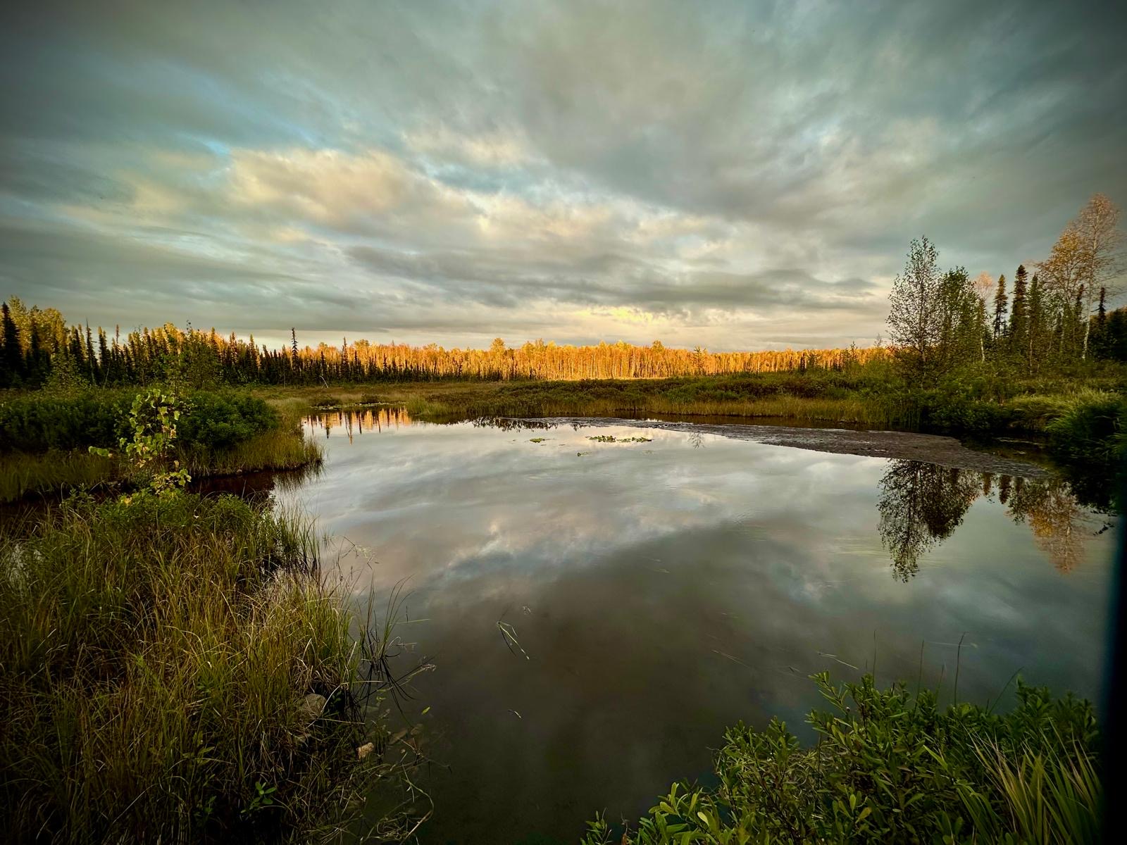 Hidden Creek Retreat - 28 Acres