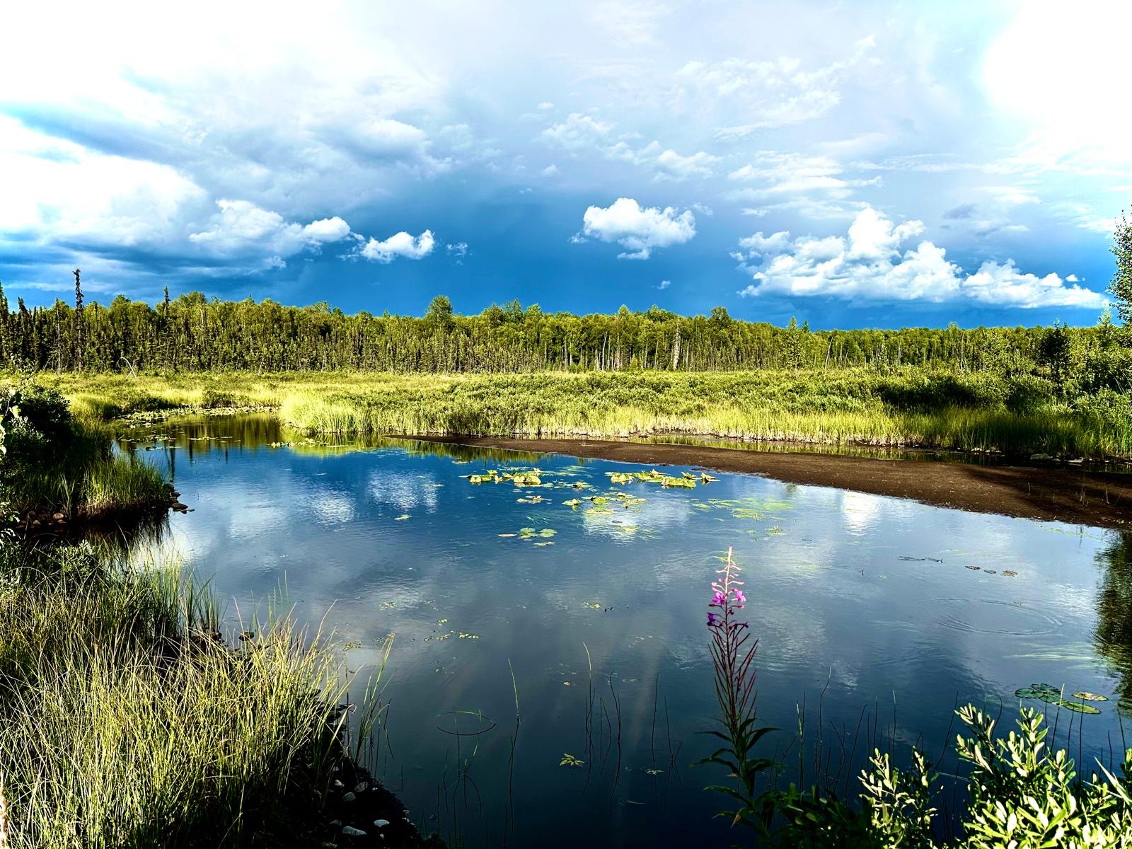 Hidden Creek Retreat - 28 Acres