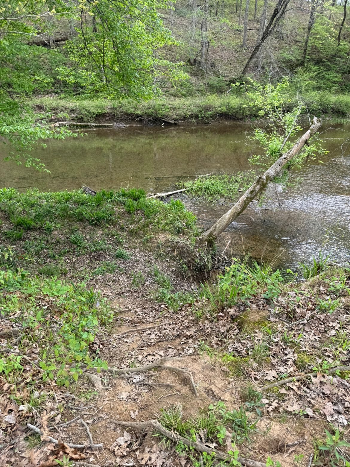 Campbell’s Camping