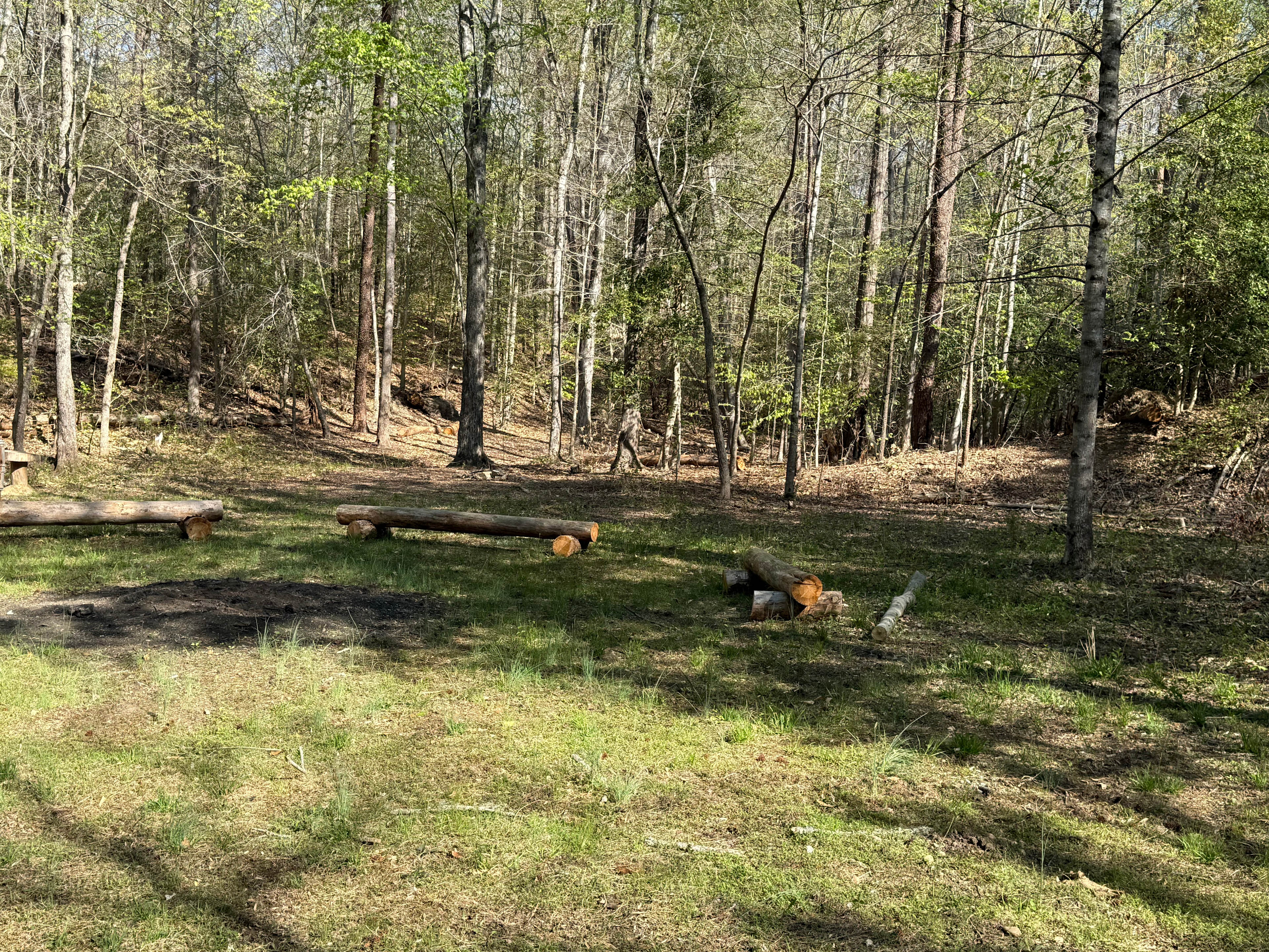 Homestead Campsite