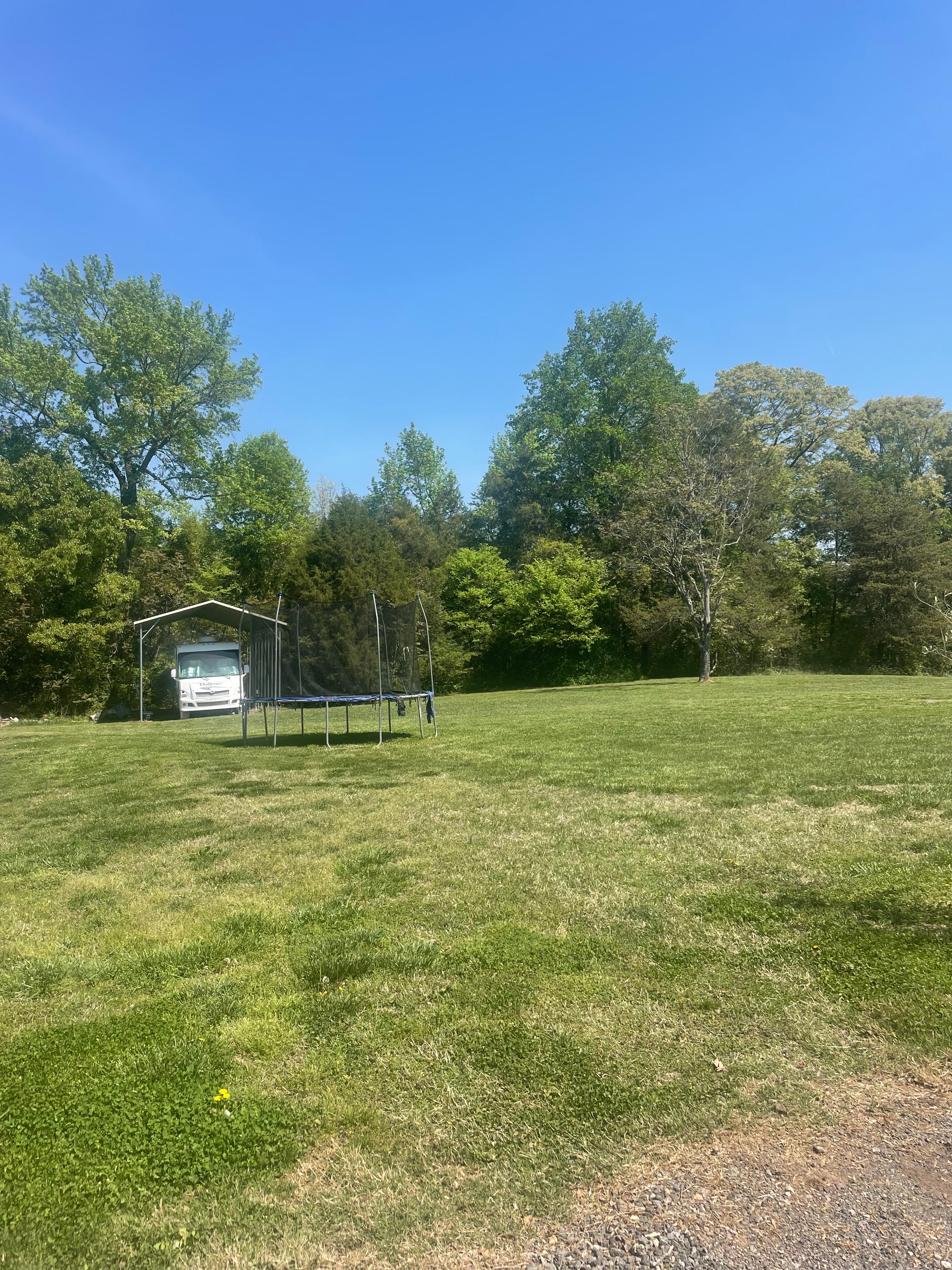 The Green Flag Meadow