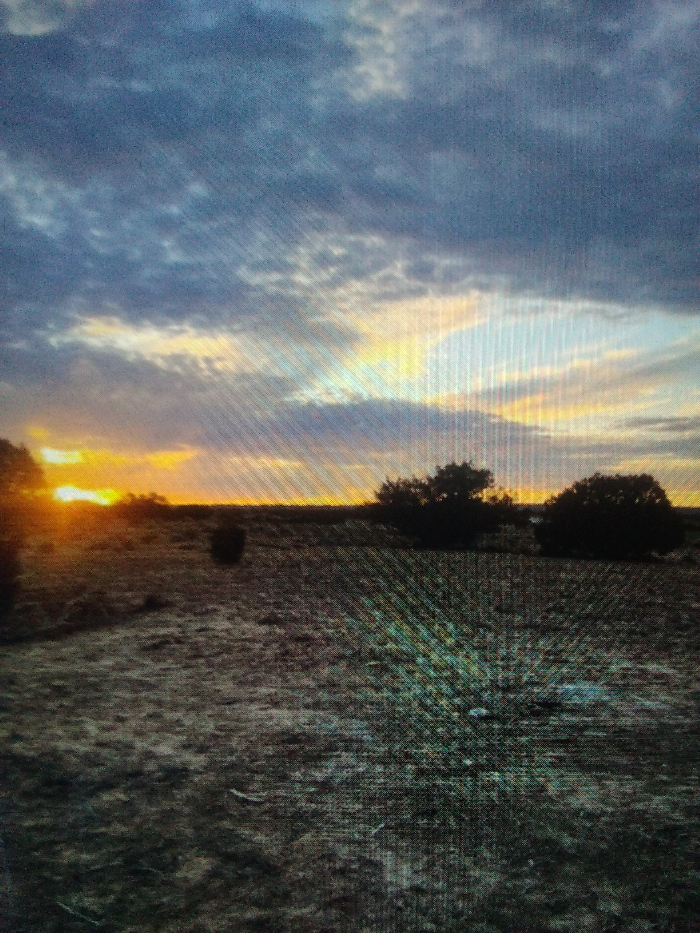 Ronnie's Ranch