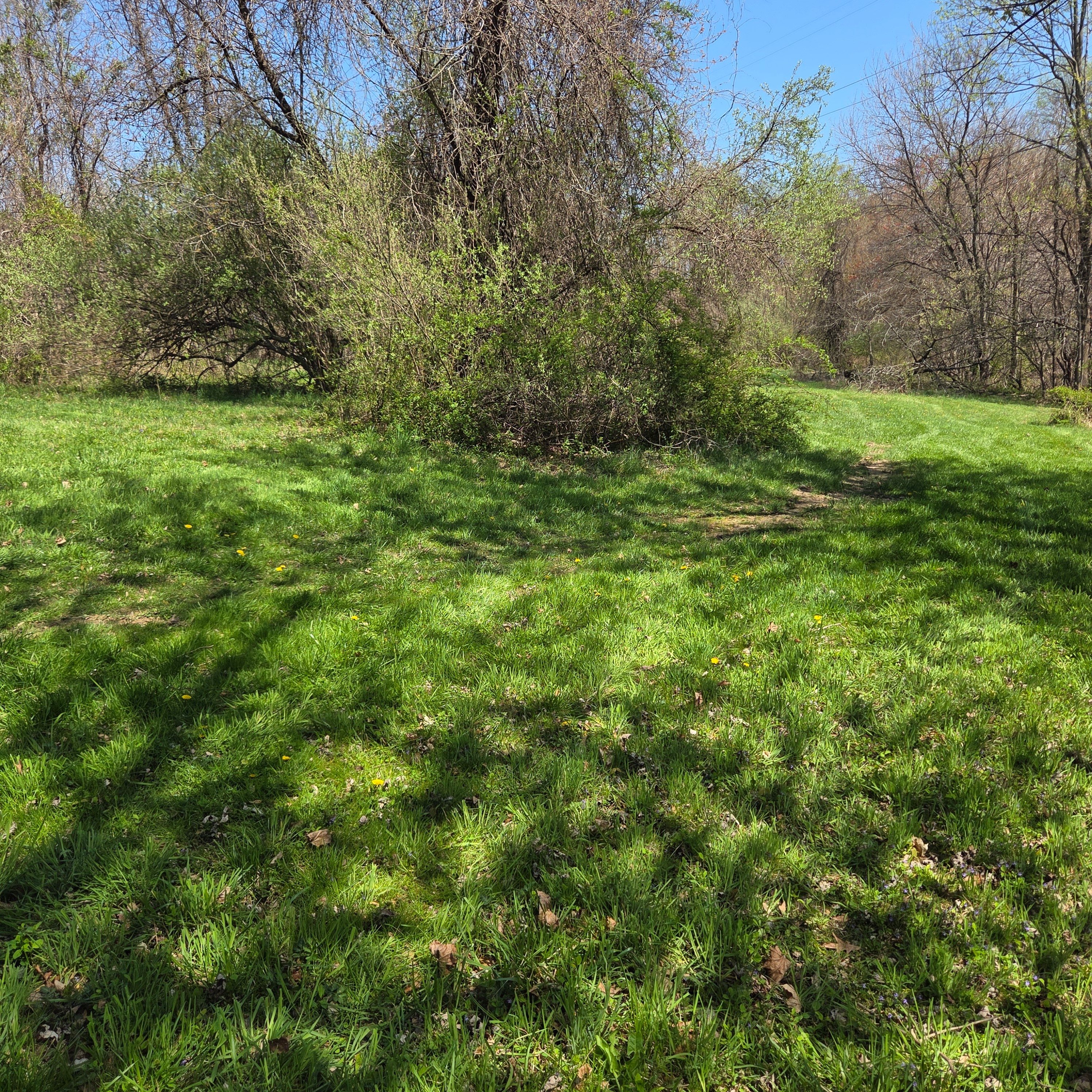 Tucked Away Acres