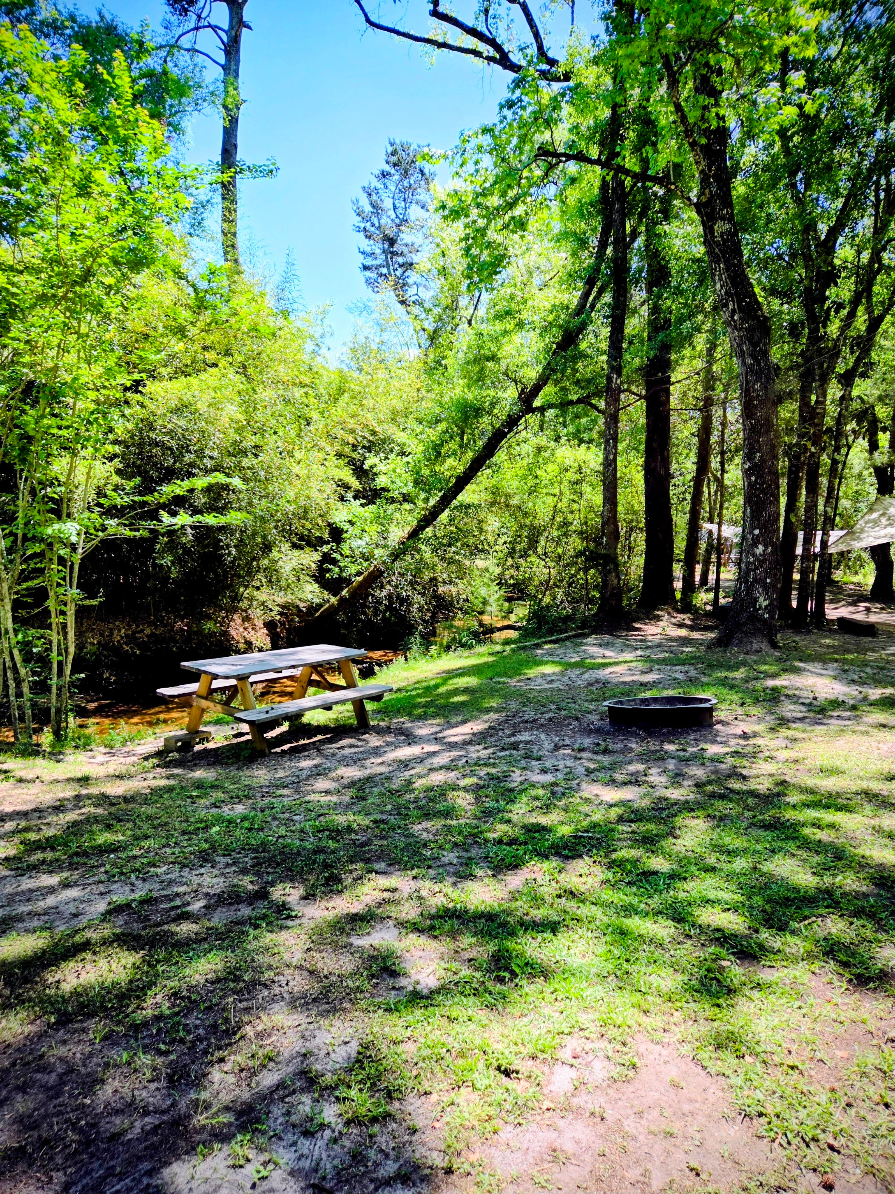 Shepard's Mill
