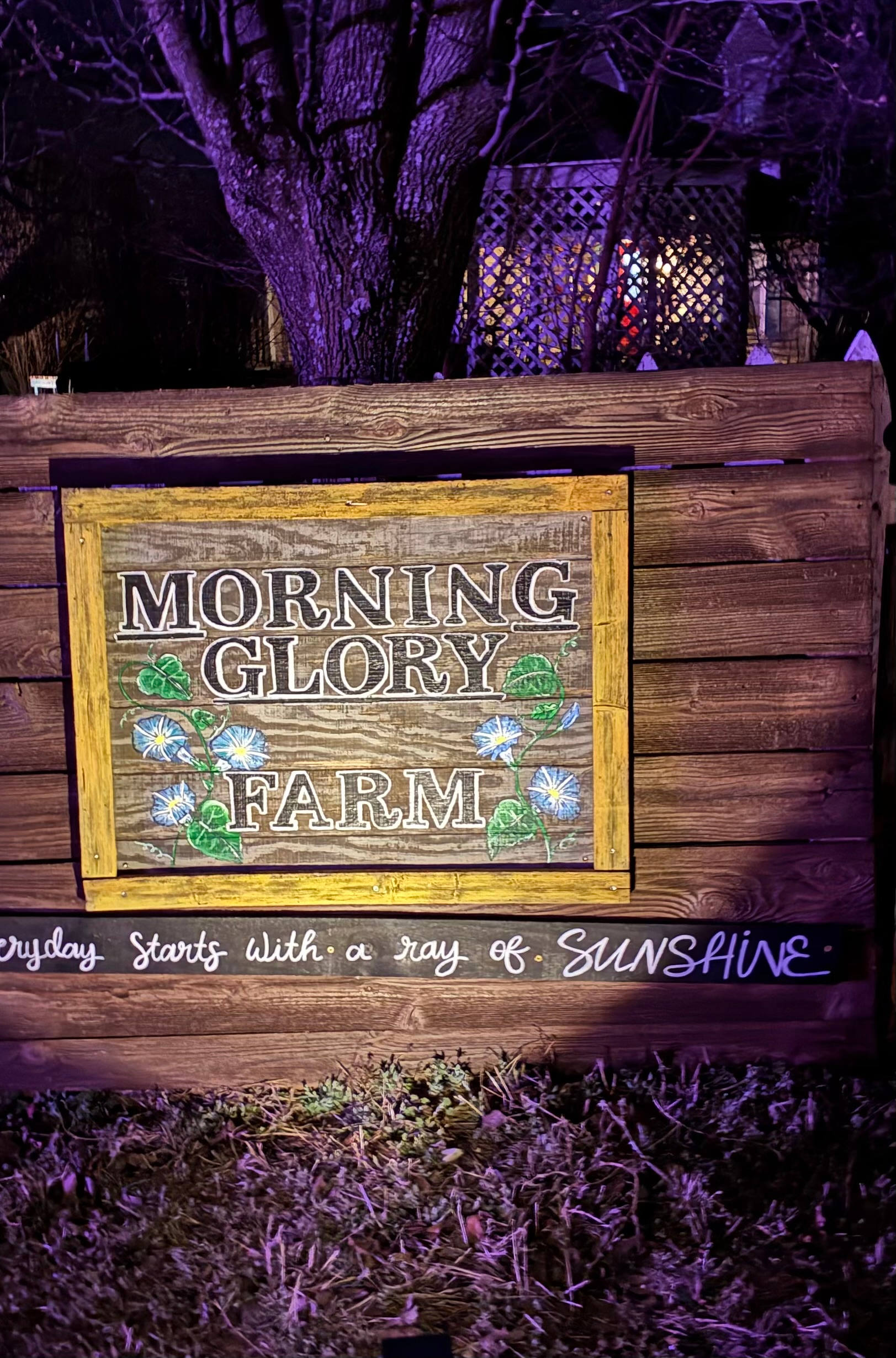 The Porch @ Morning Glory FARM