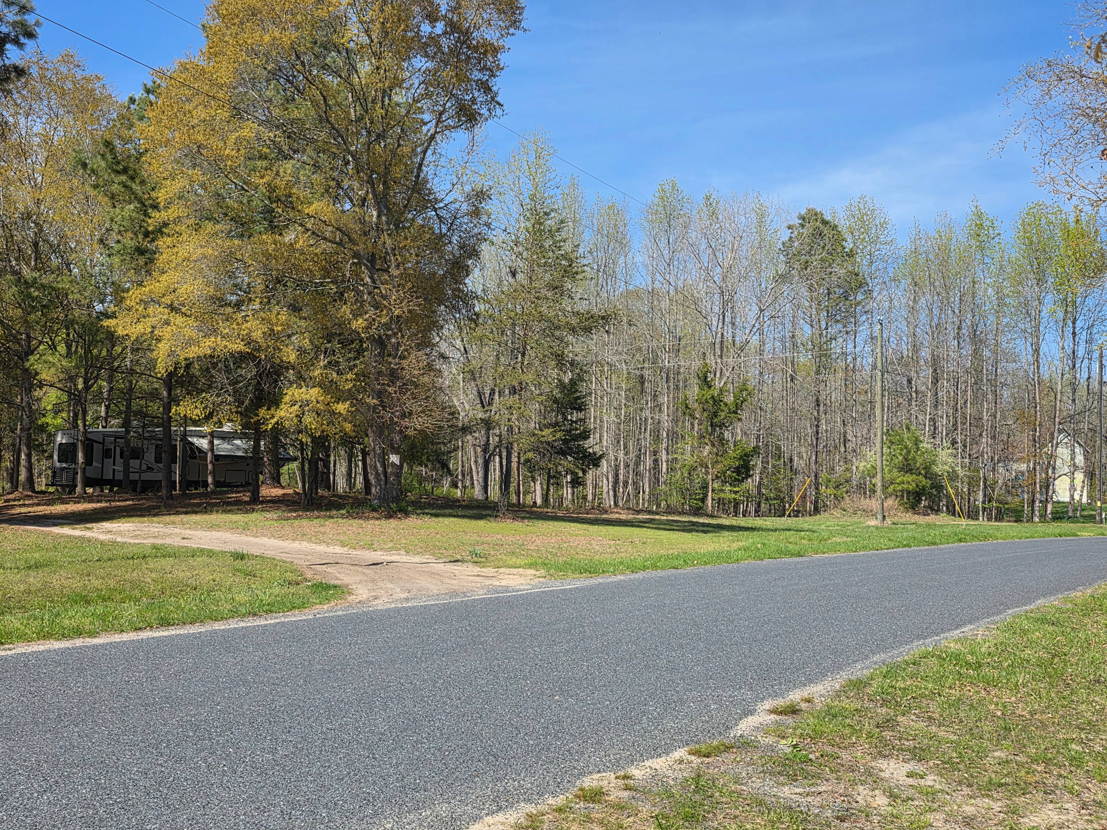 Squirrel Hollow