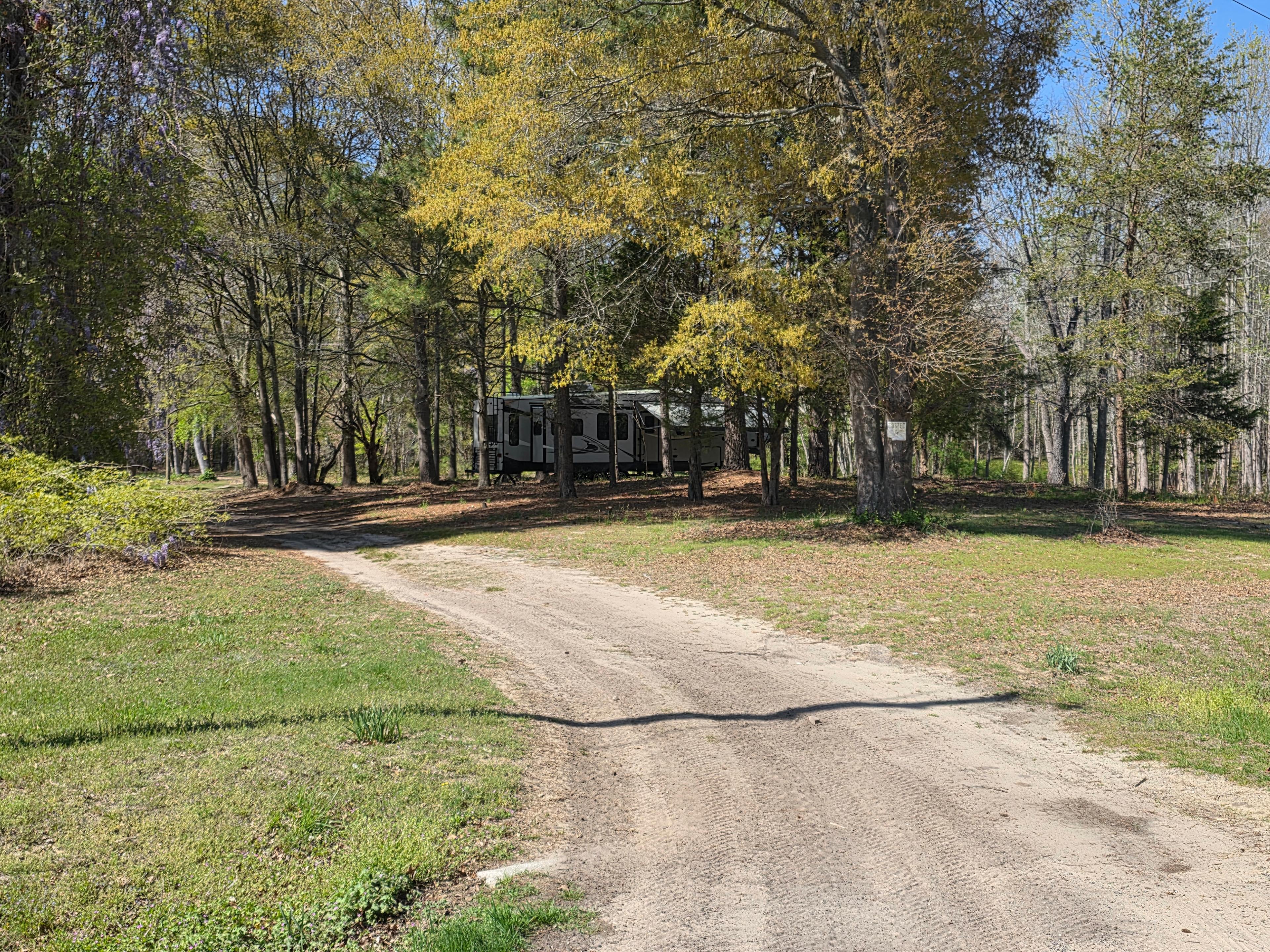 Squirrel Hollow