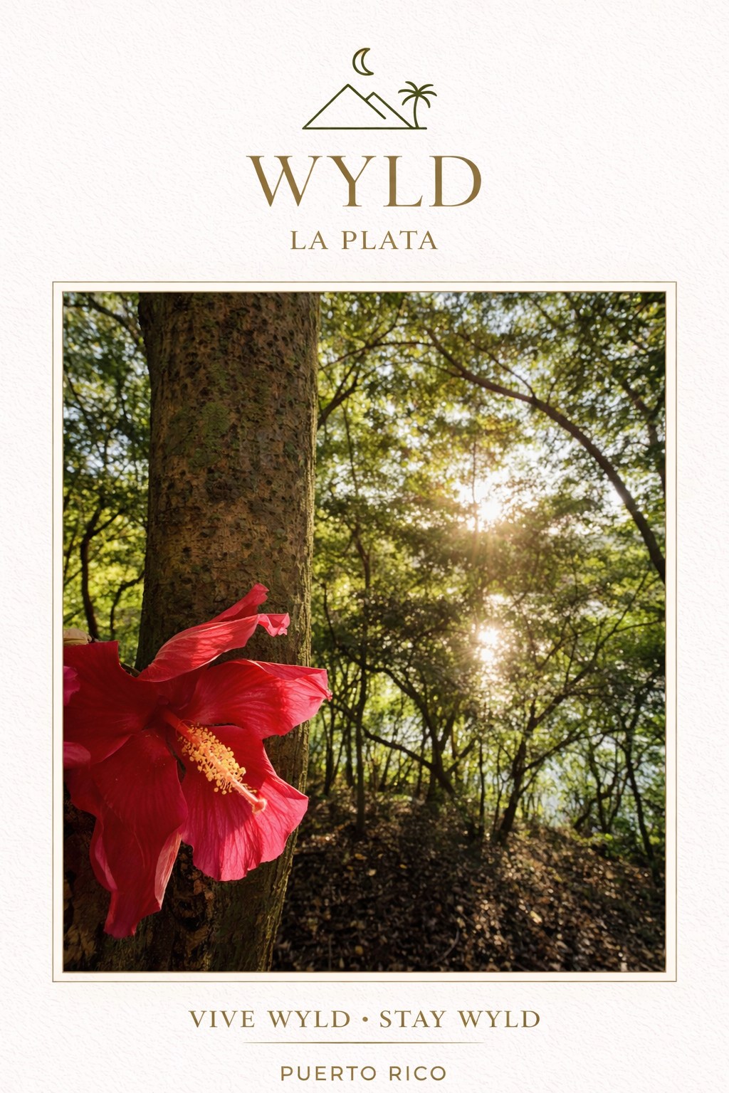WYLD LA PLATA