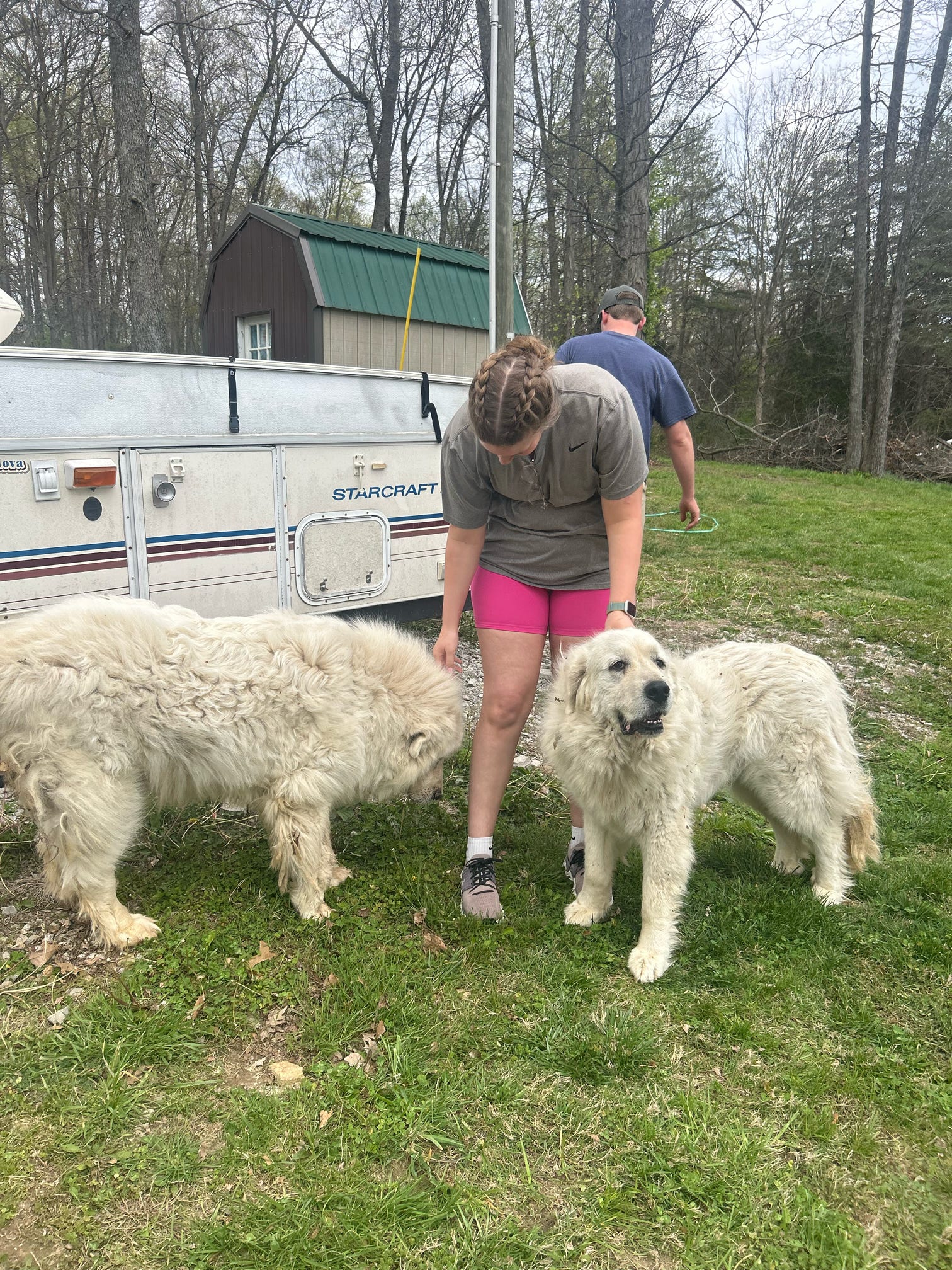 Rockytop Family Farms
