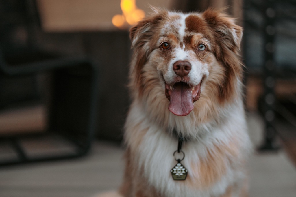 Village Camp Truckee