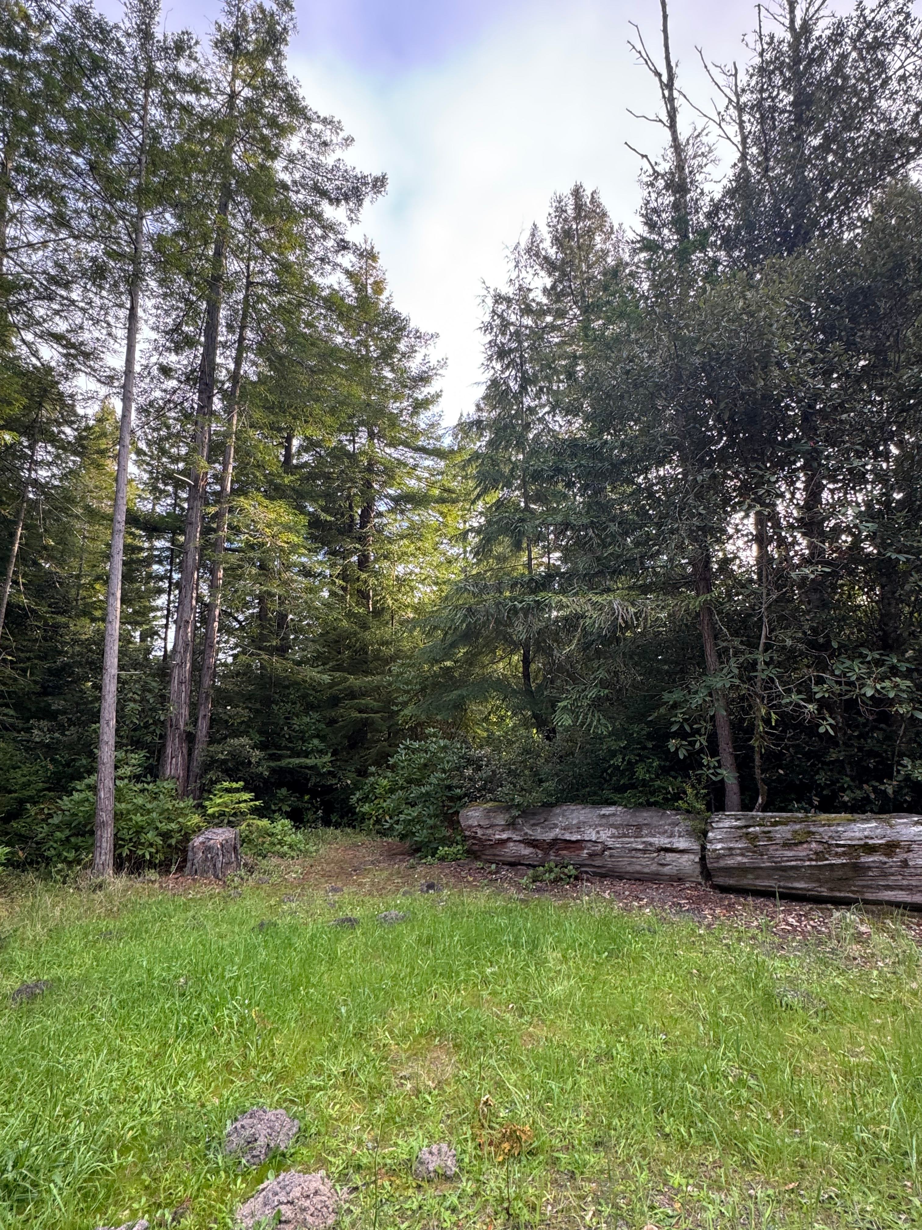 MacKerricher State Park