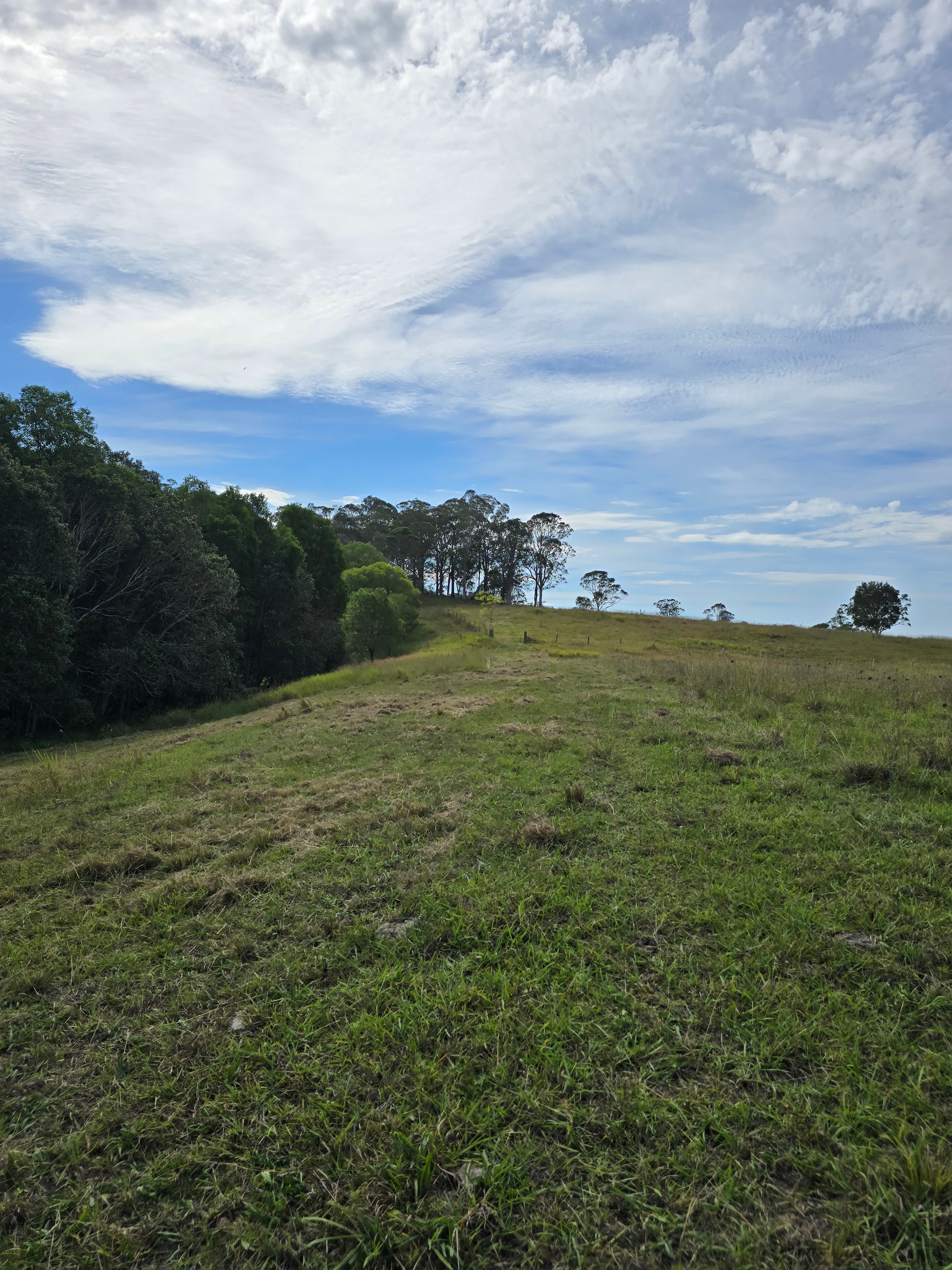Bunyah Creek Hideaway