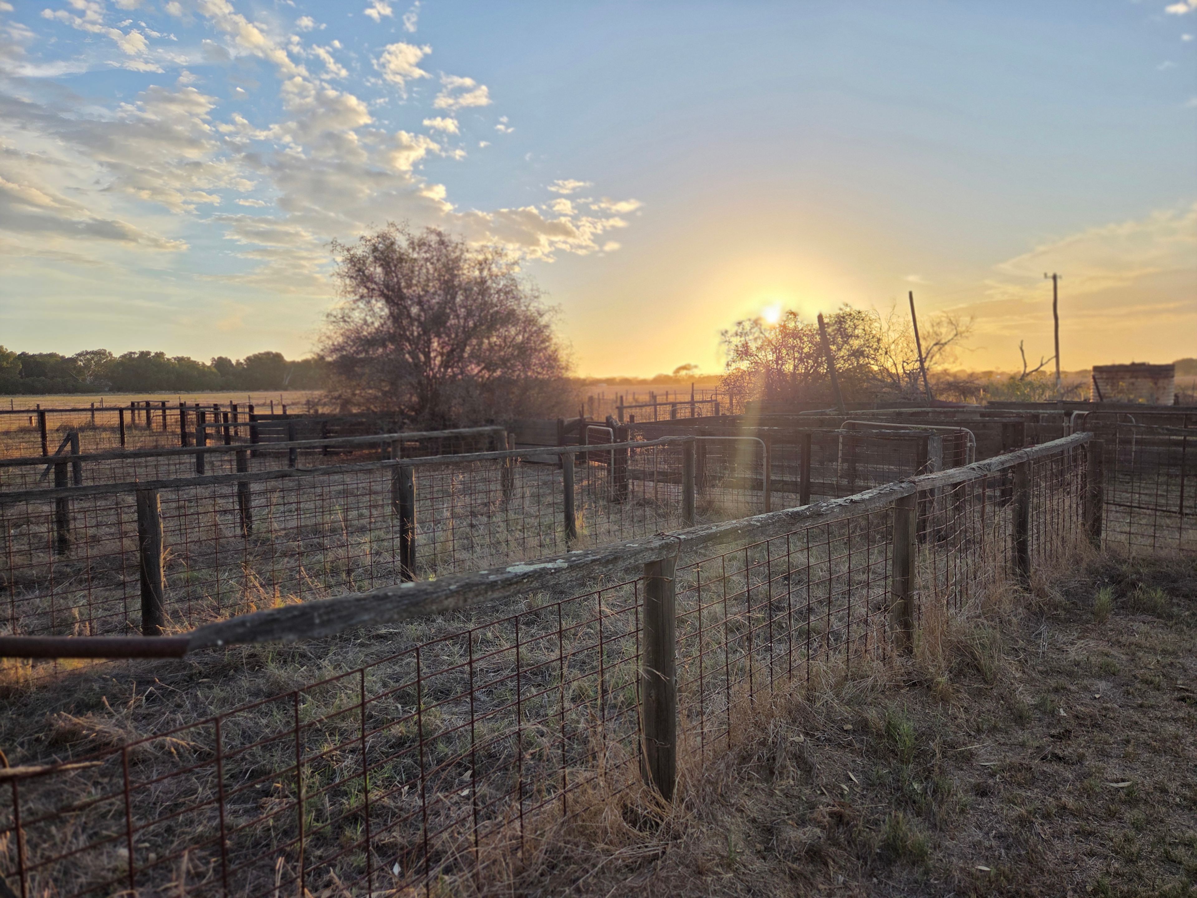 Donaville Farm