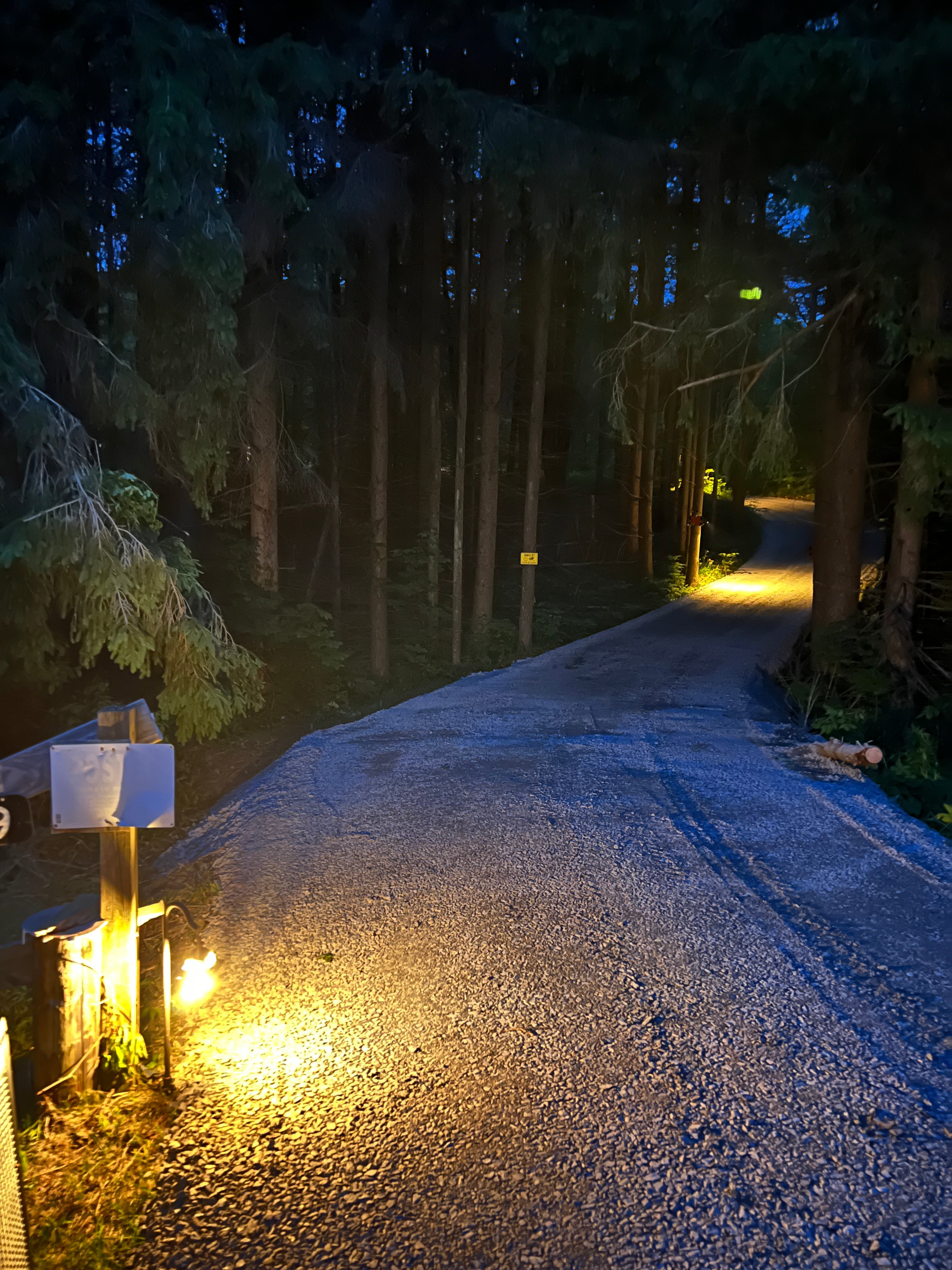 Driveway Entrance 