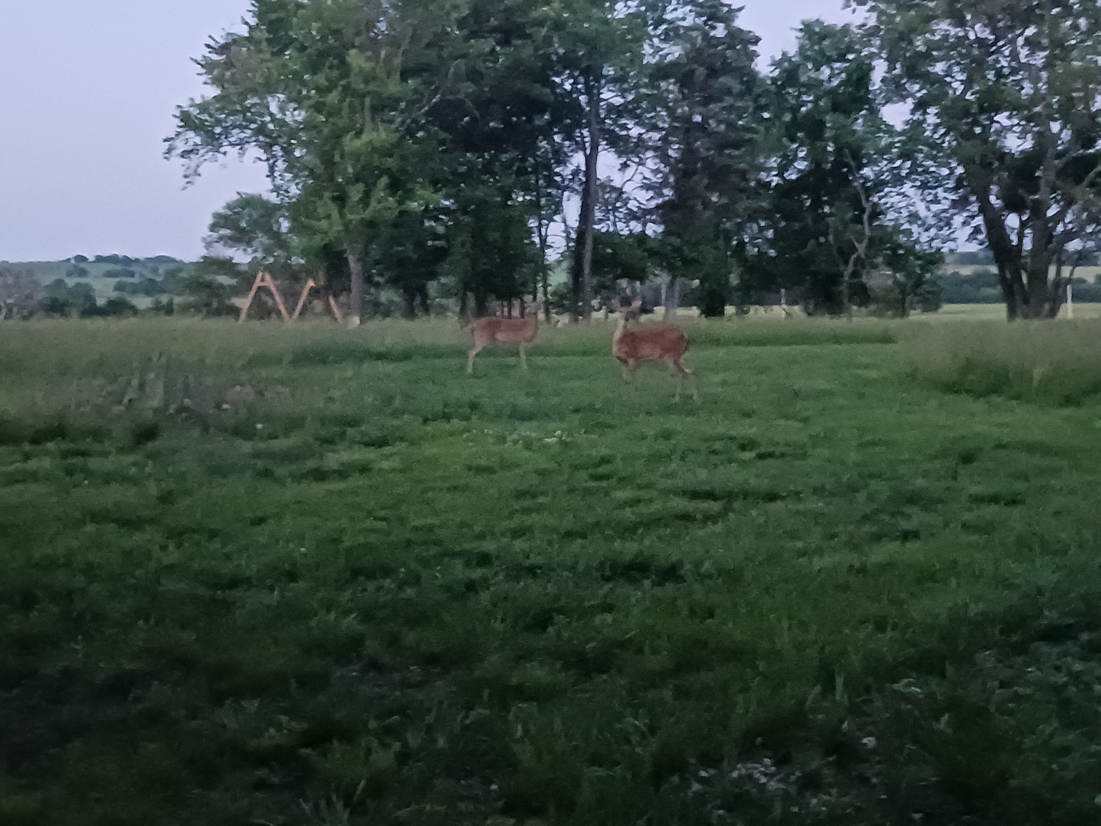 Foxbat Prairie Retreat