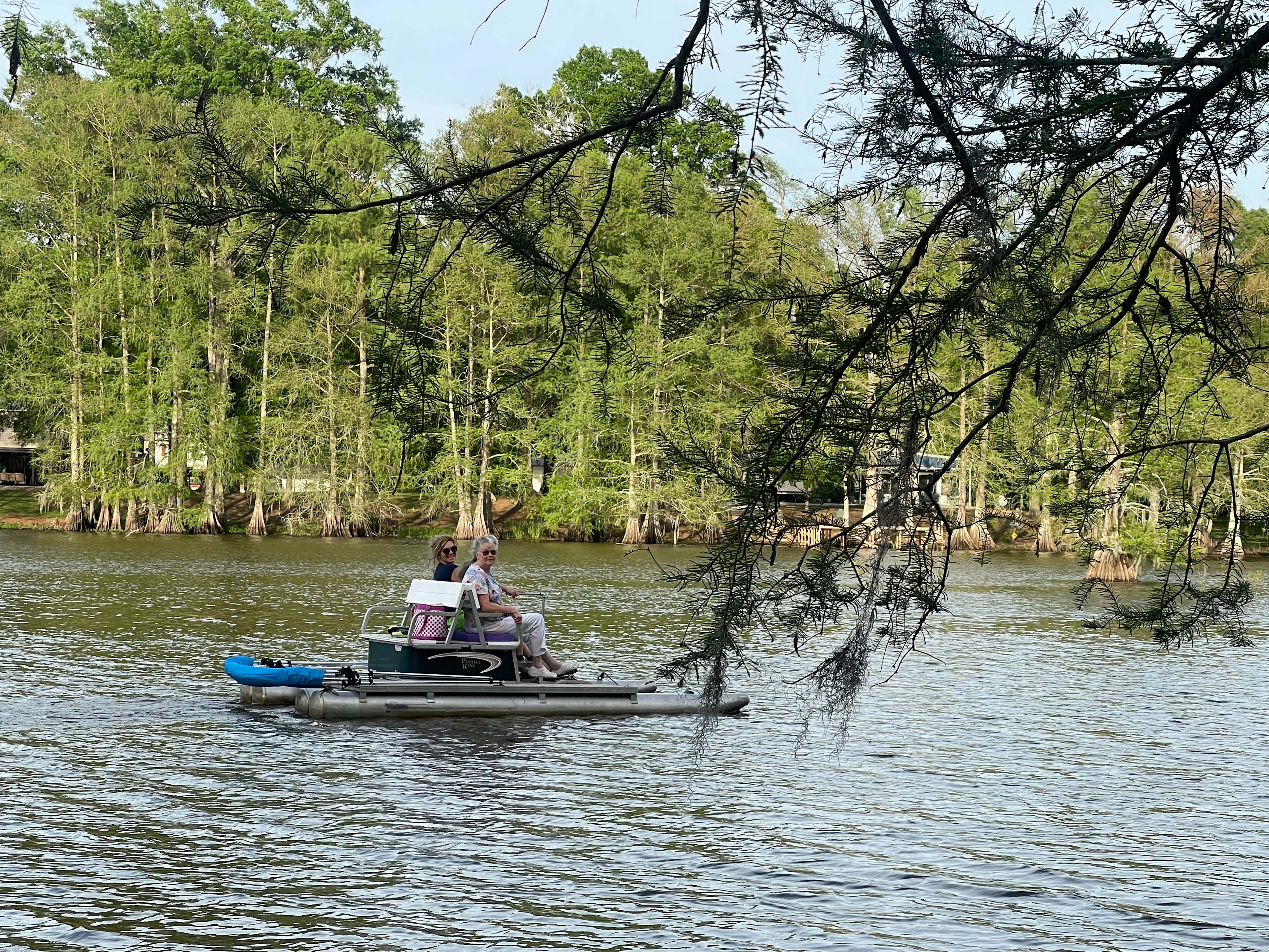Beautiful Bayou