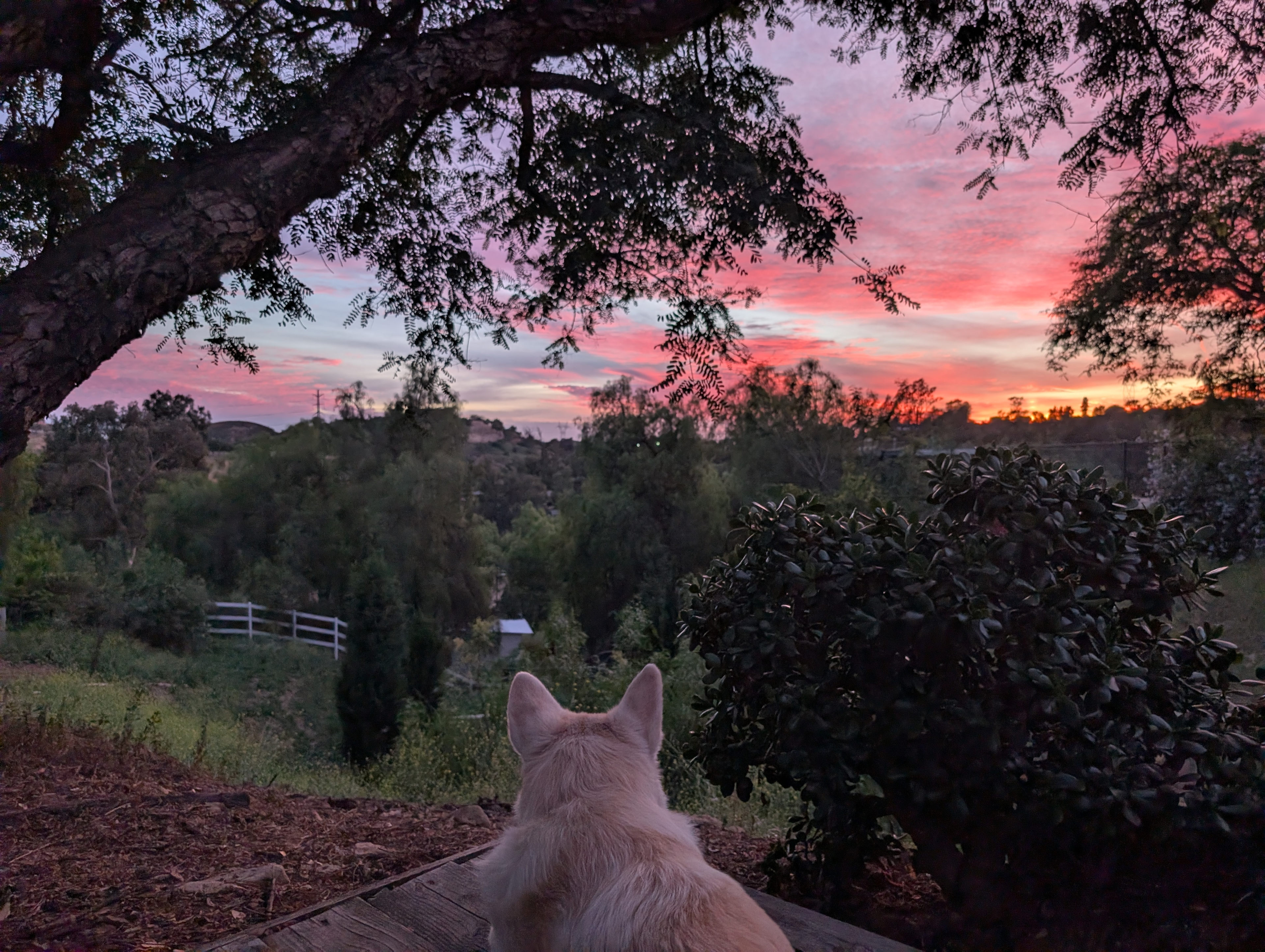sunset views with one of the stewards of the land