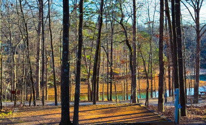 Unhitched Lake Hartwell