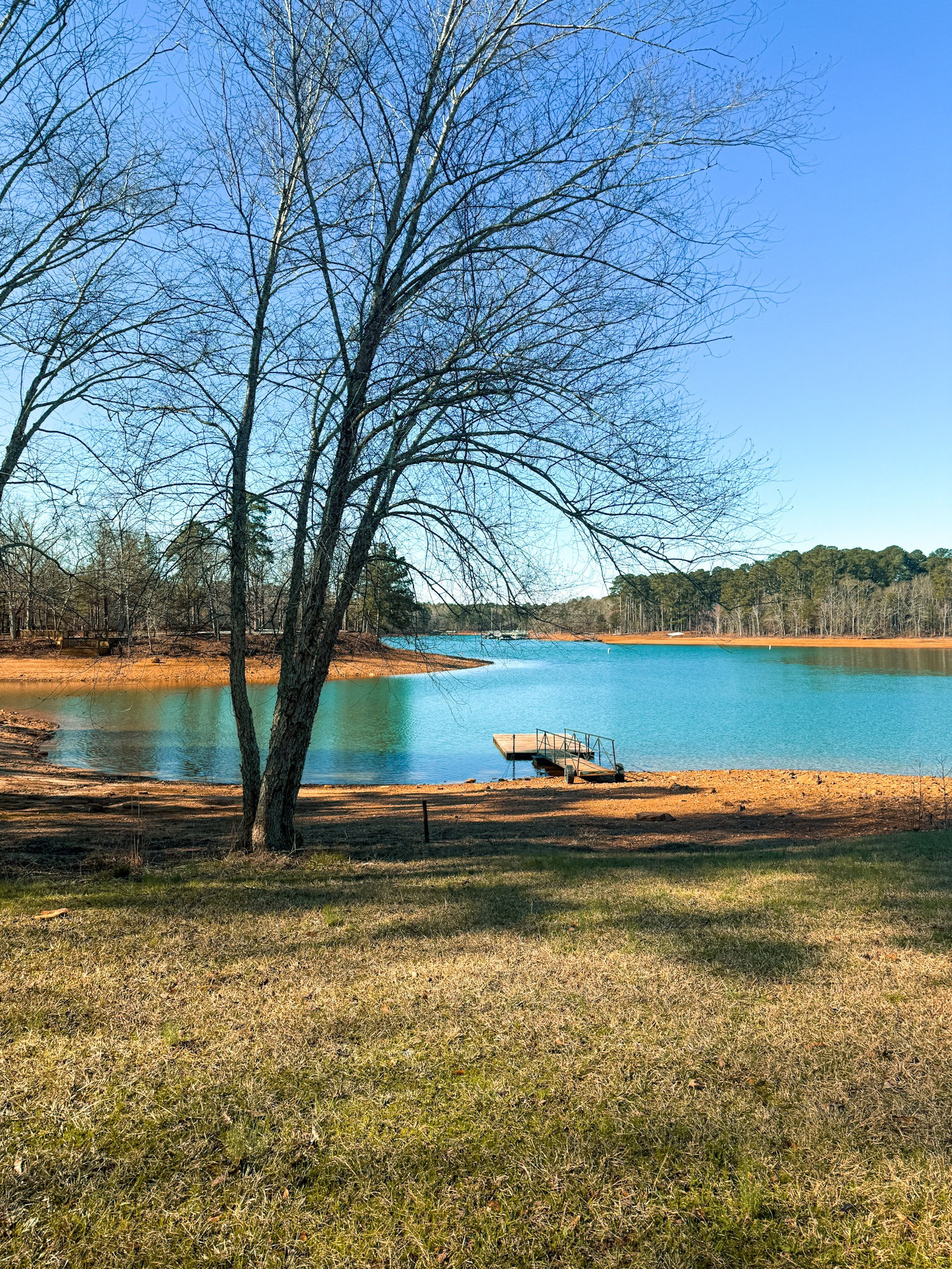 Unhitched Lake Hartwell