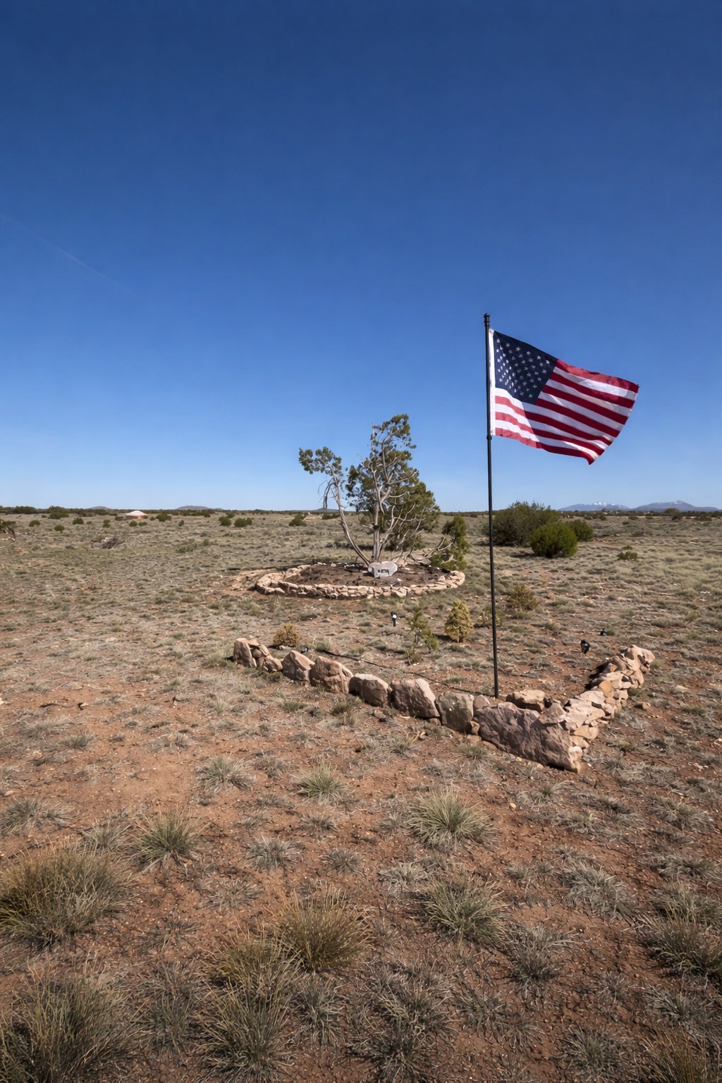 Desert Garden By Grand Canyon
