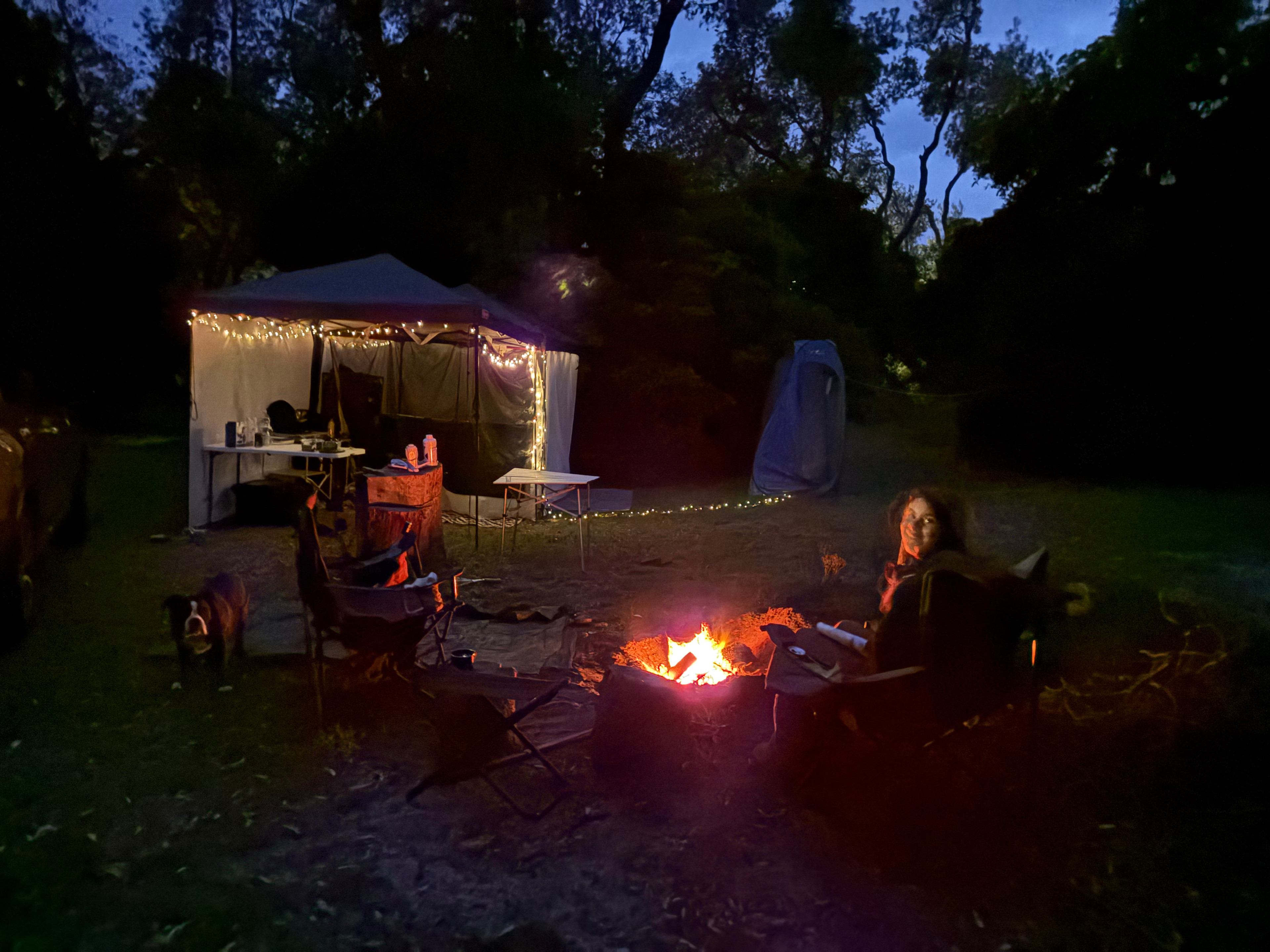 Camping In Paradise