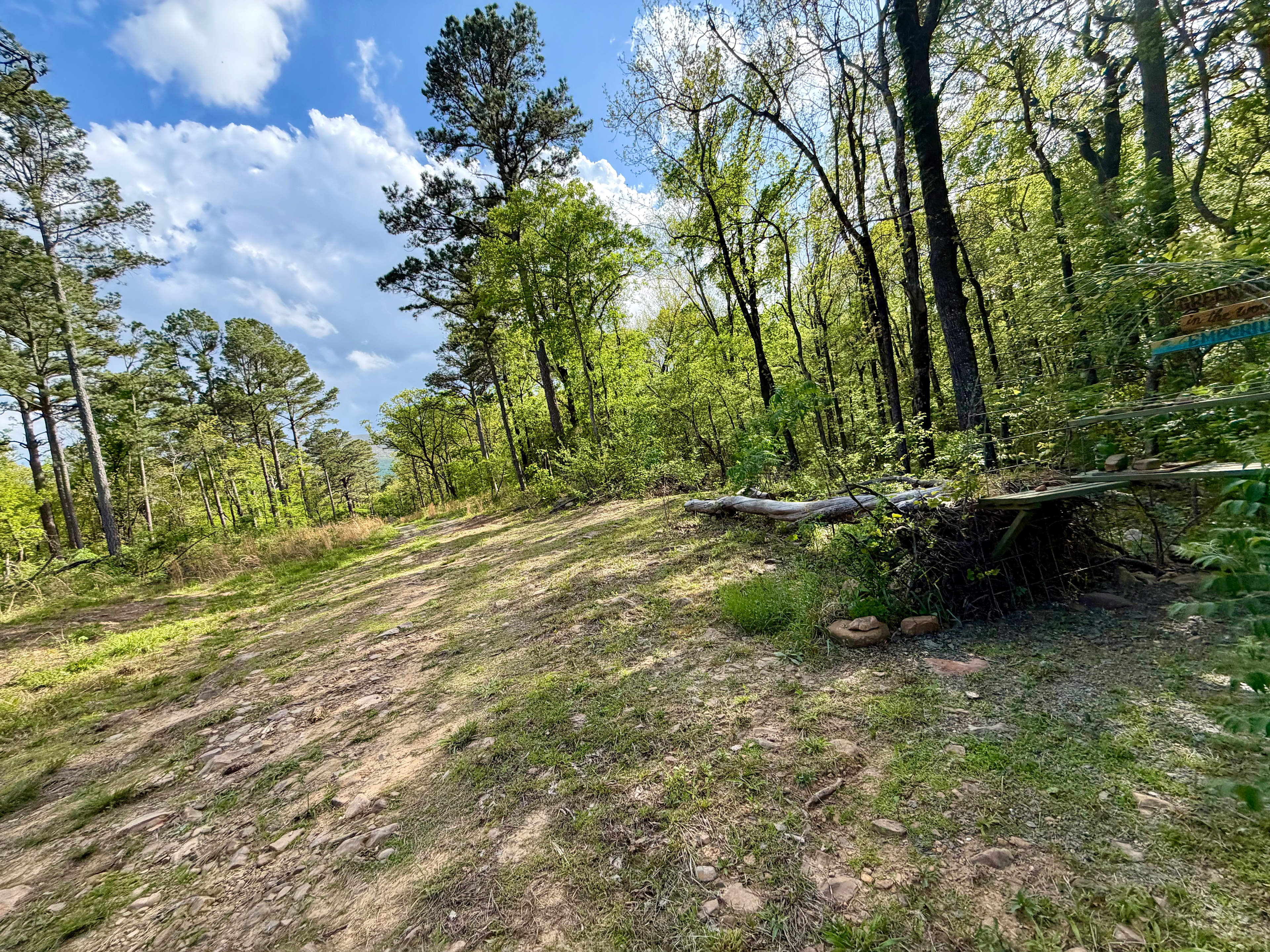 Ferngully Campground And Retreat