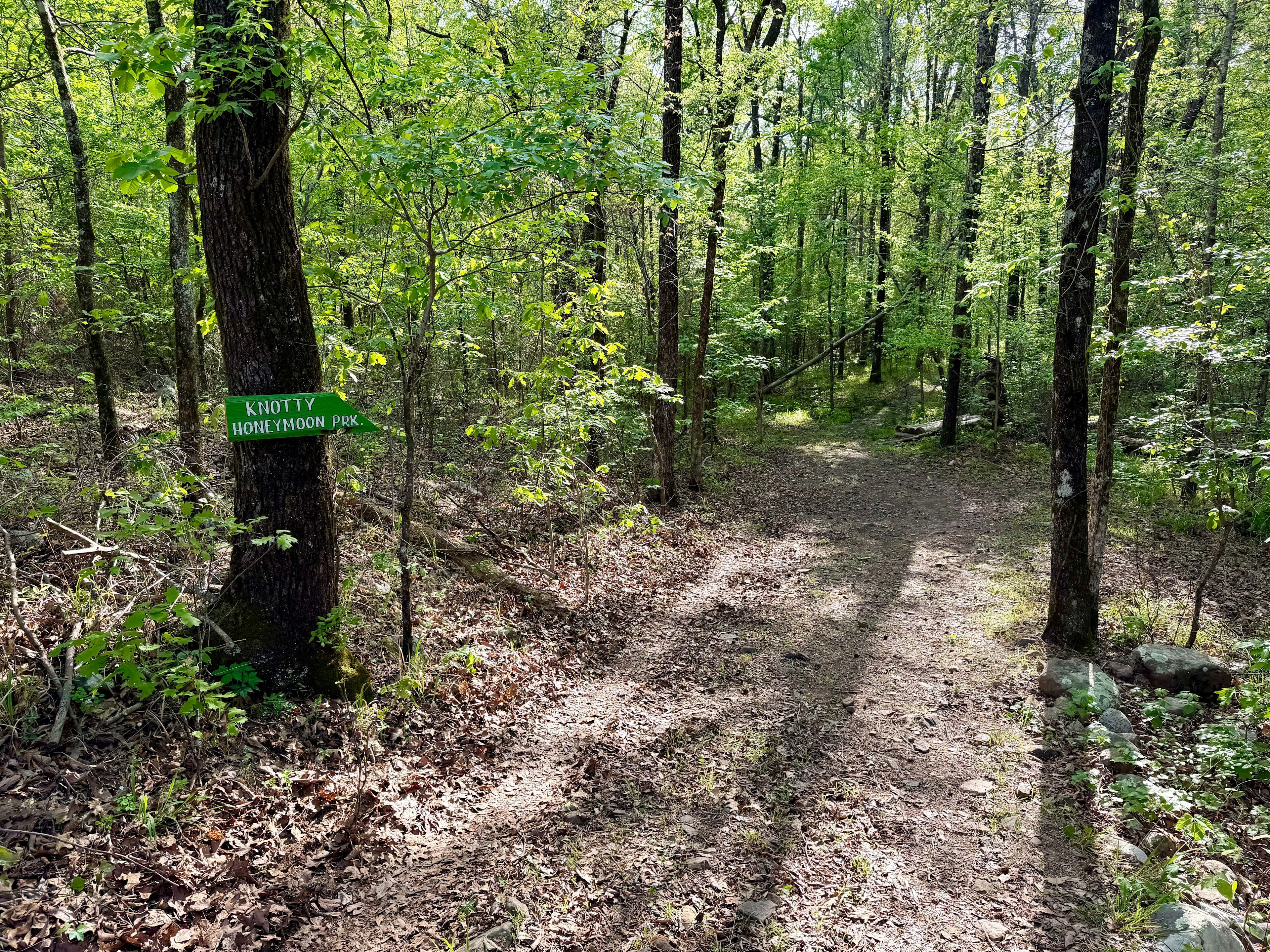 Ferngully Campground And Retreat