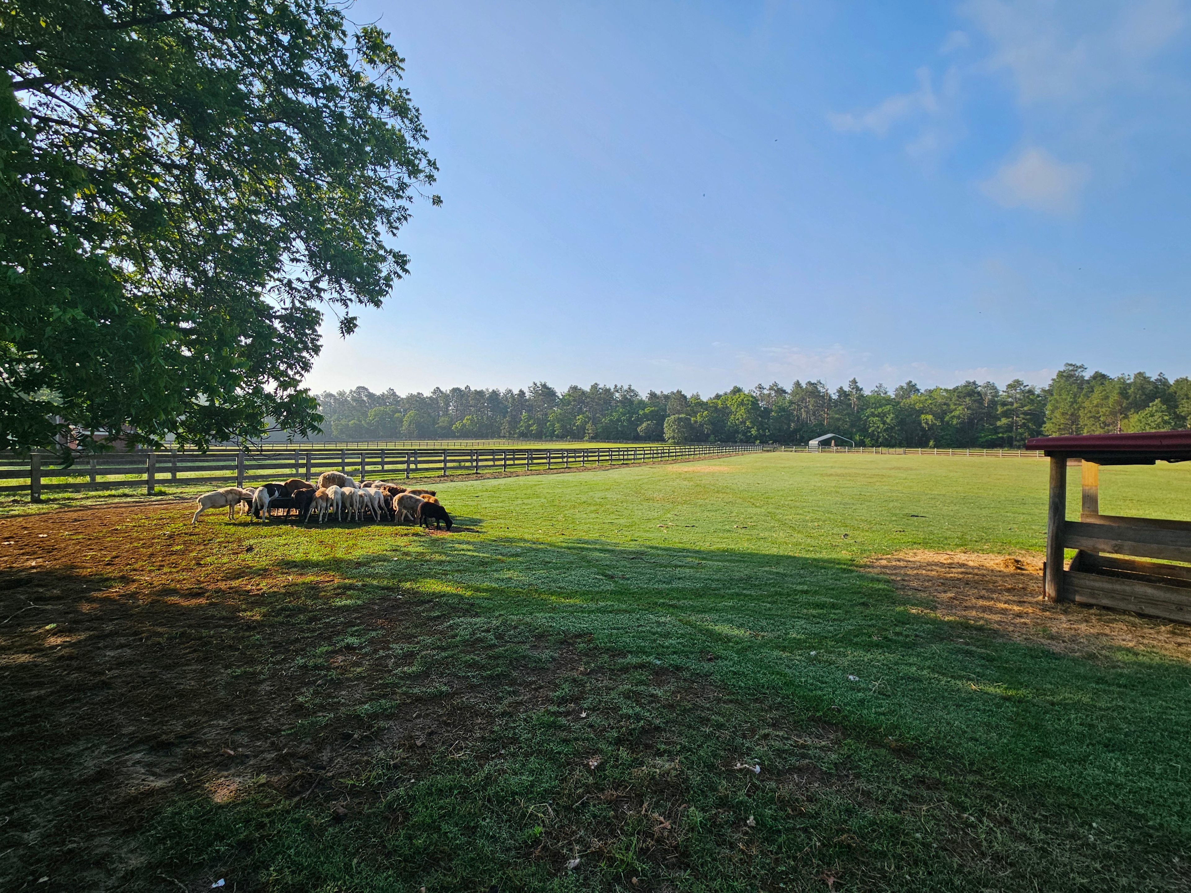 Whistling H Farms