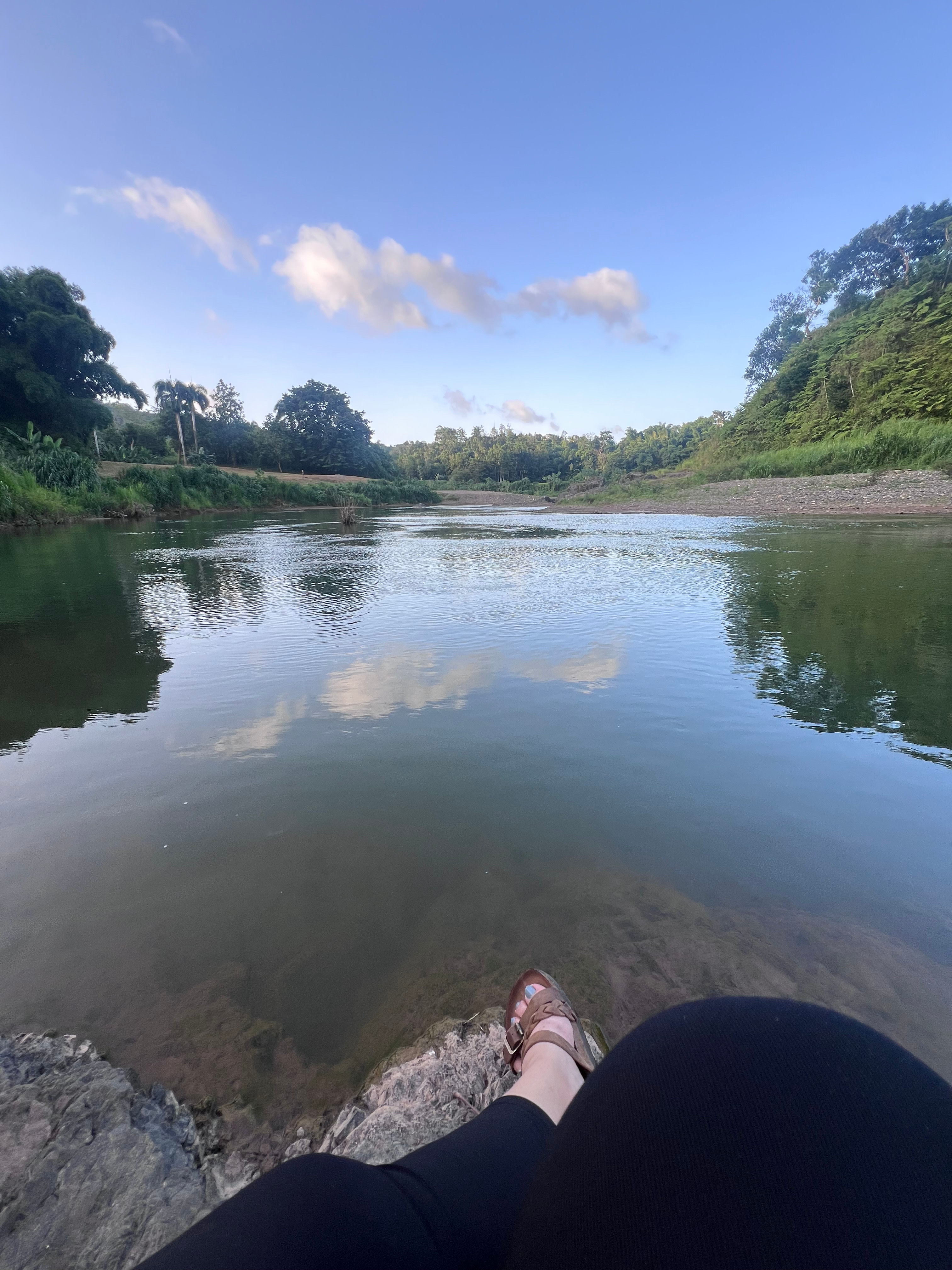 Inriri Farm Añasco PR