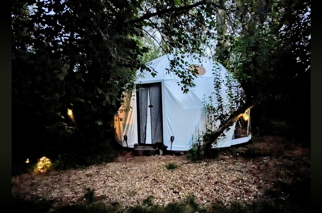 The Healing Dome