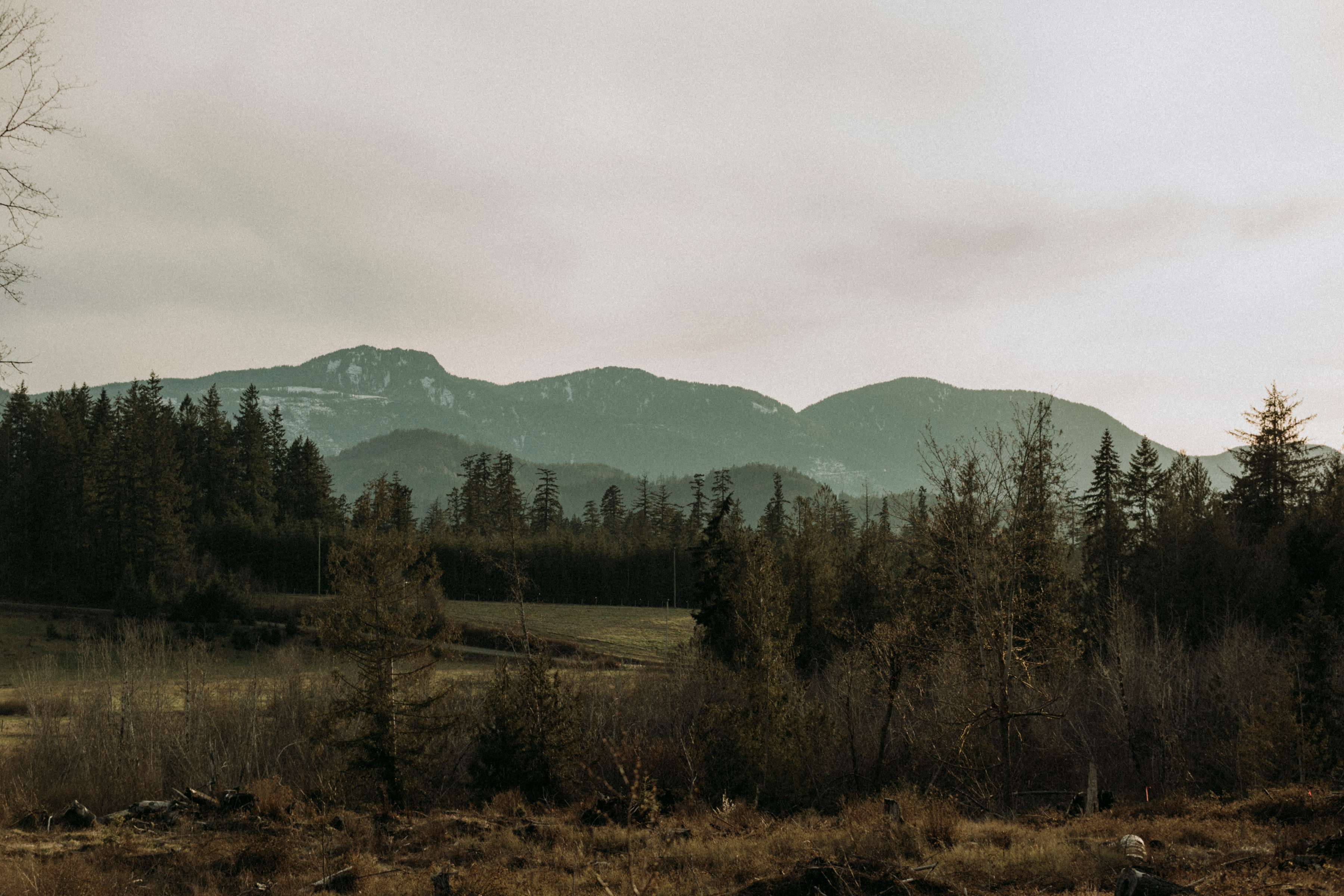 MorningStar Woollen farm