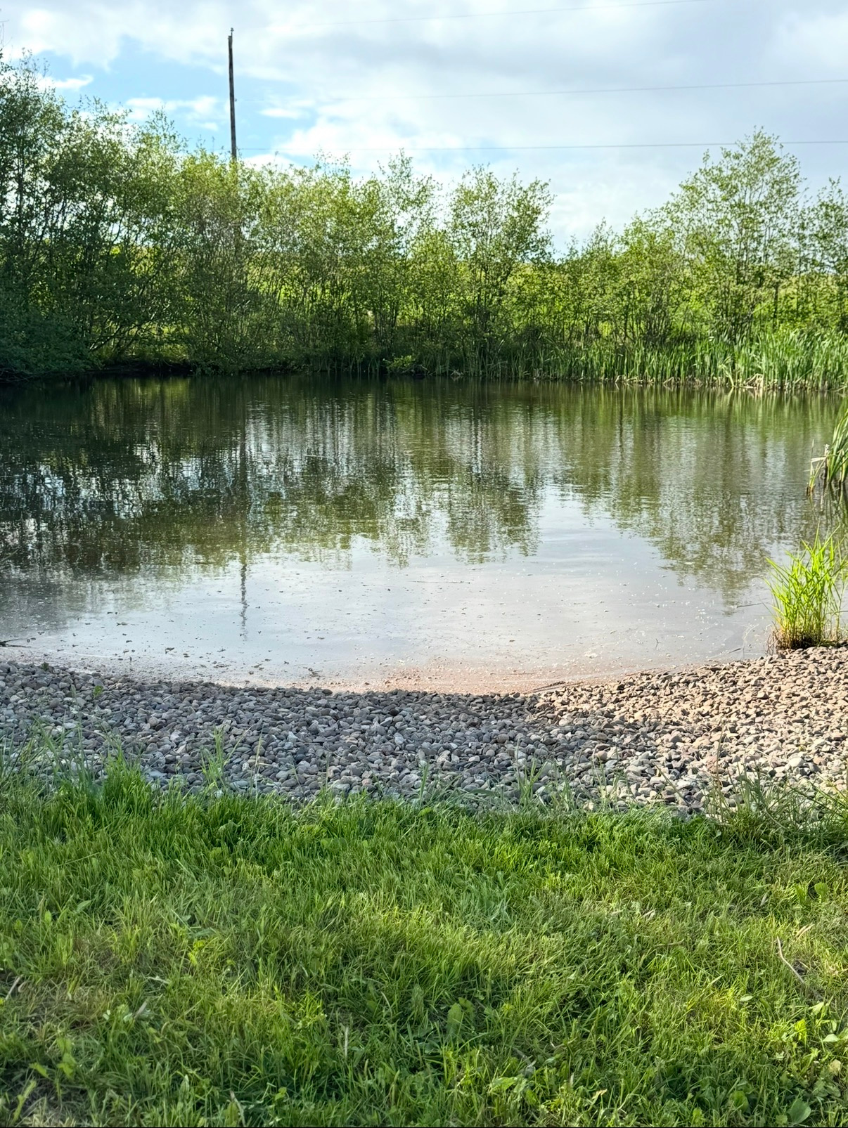 Woodland Acres