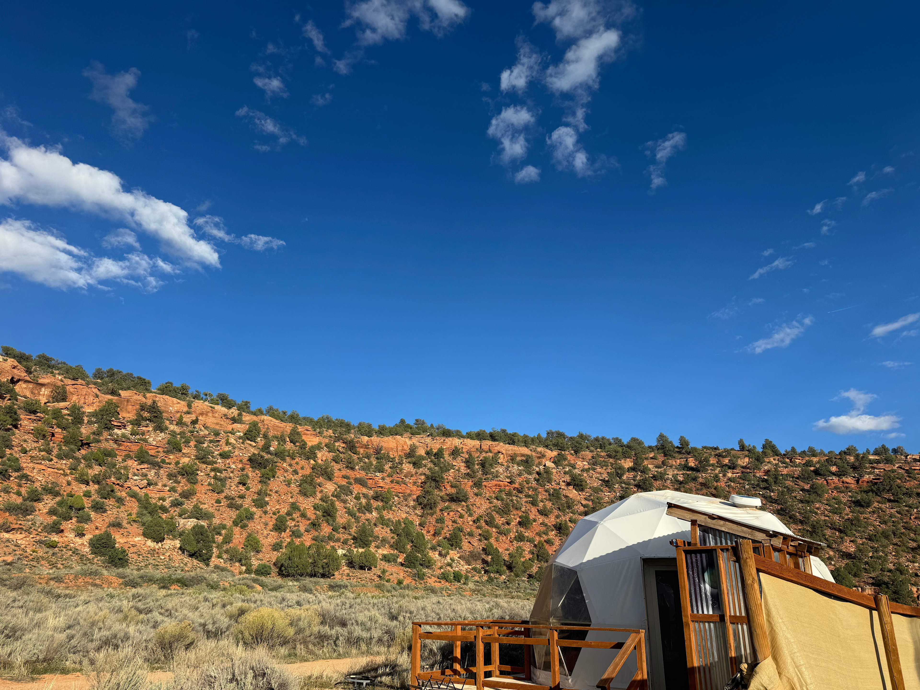 Desert Bloom Campground