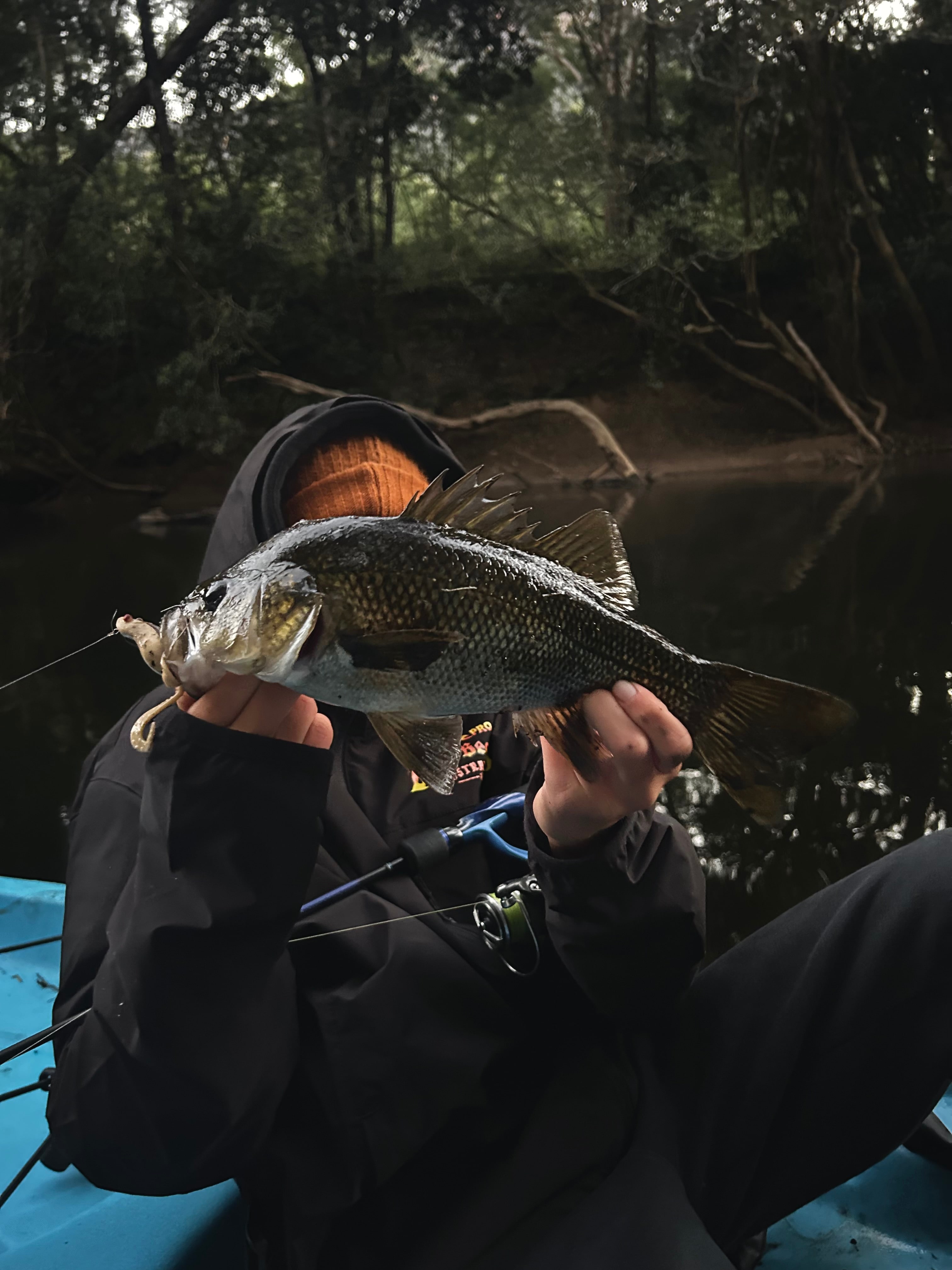 Native bass caught early in the morning