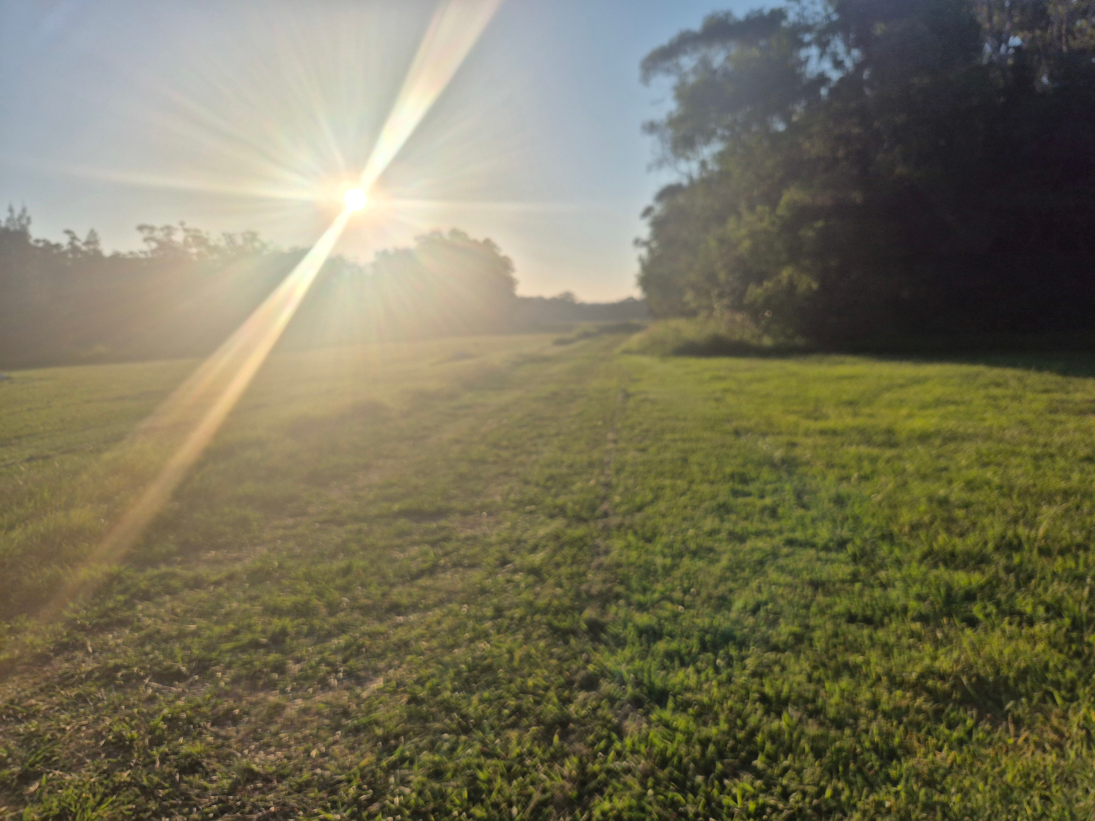 Camden Haven Airfield & Campground