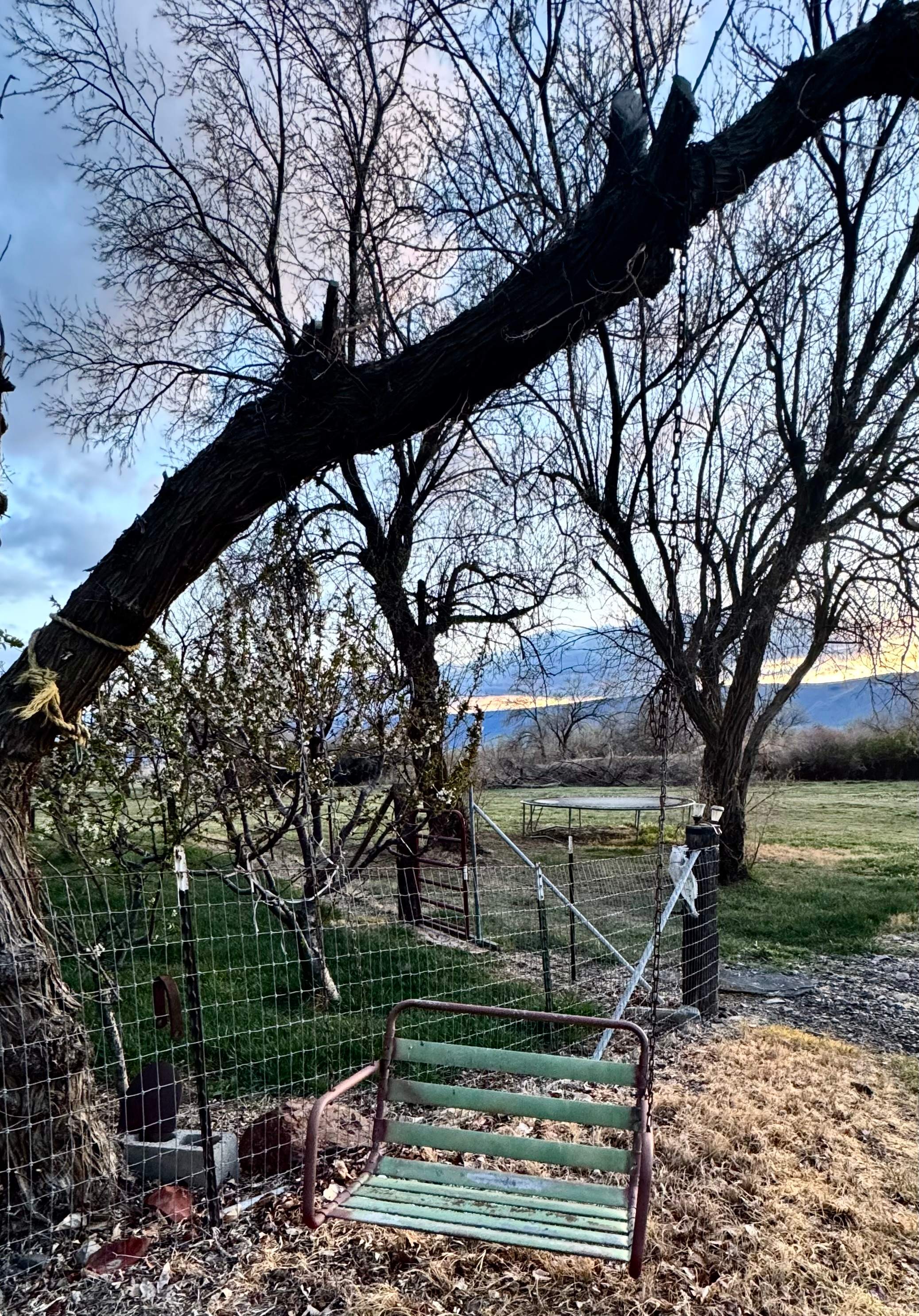 Rosebud Hip Camp