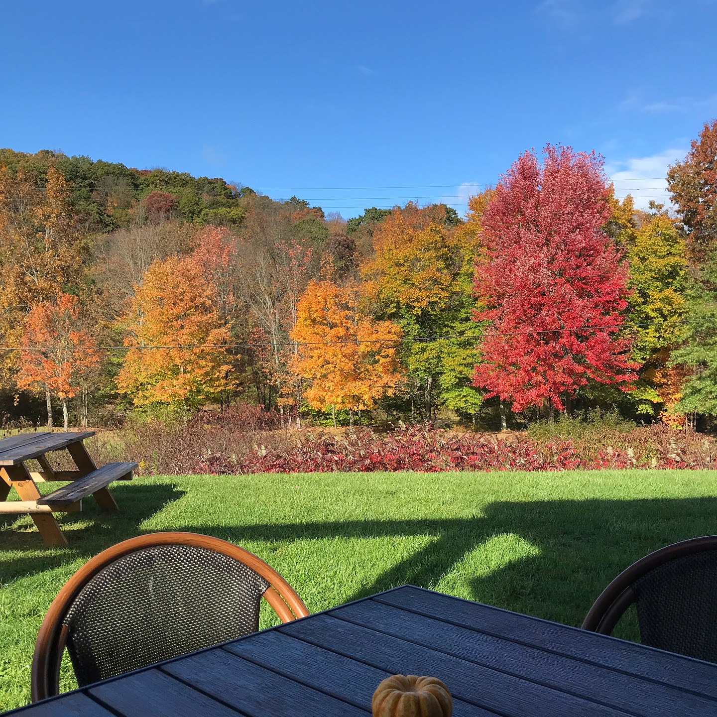Meadow on the Casselman Riviera