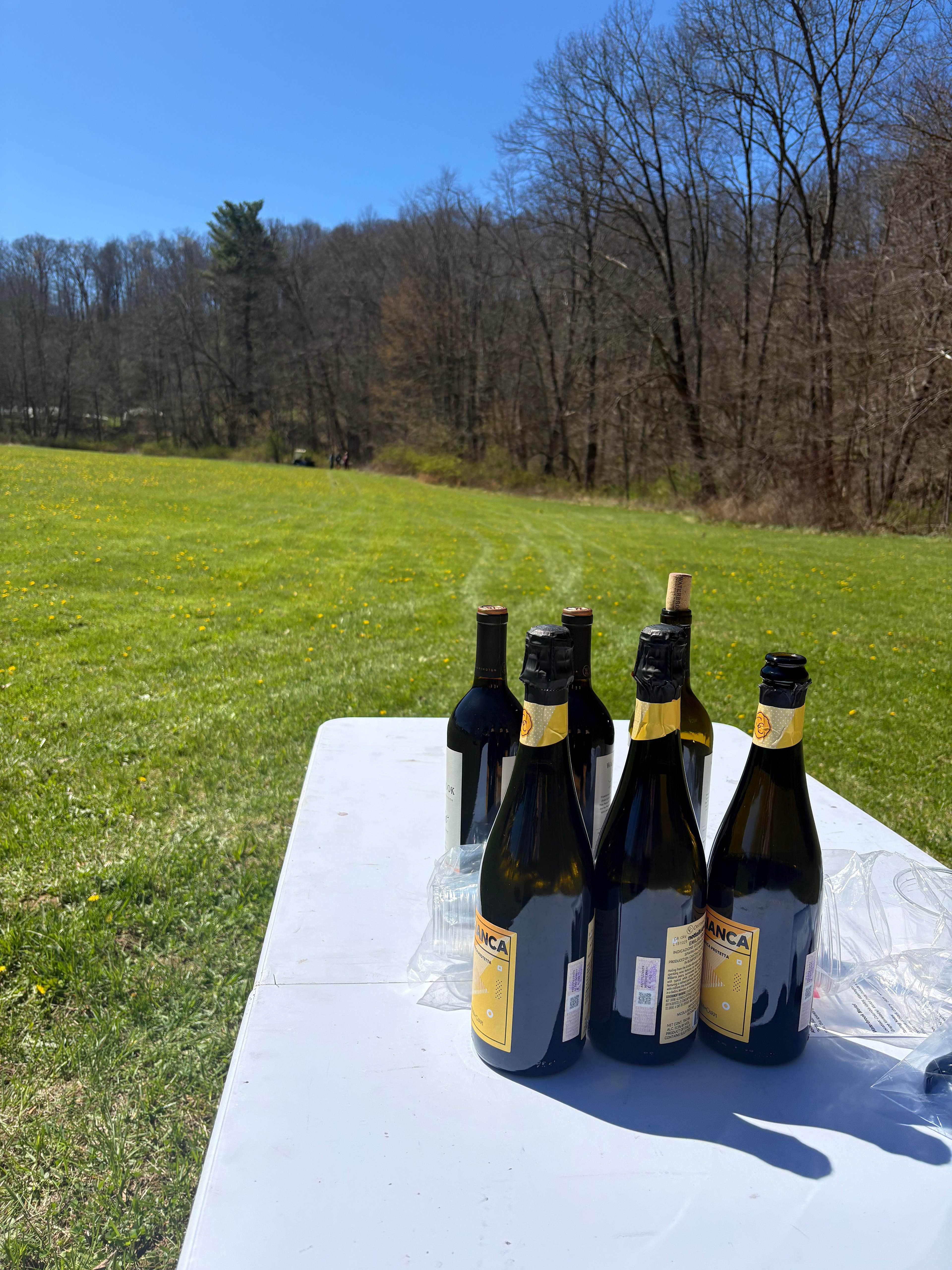Meadow on the Casselman Riviera