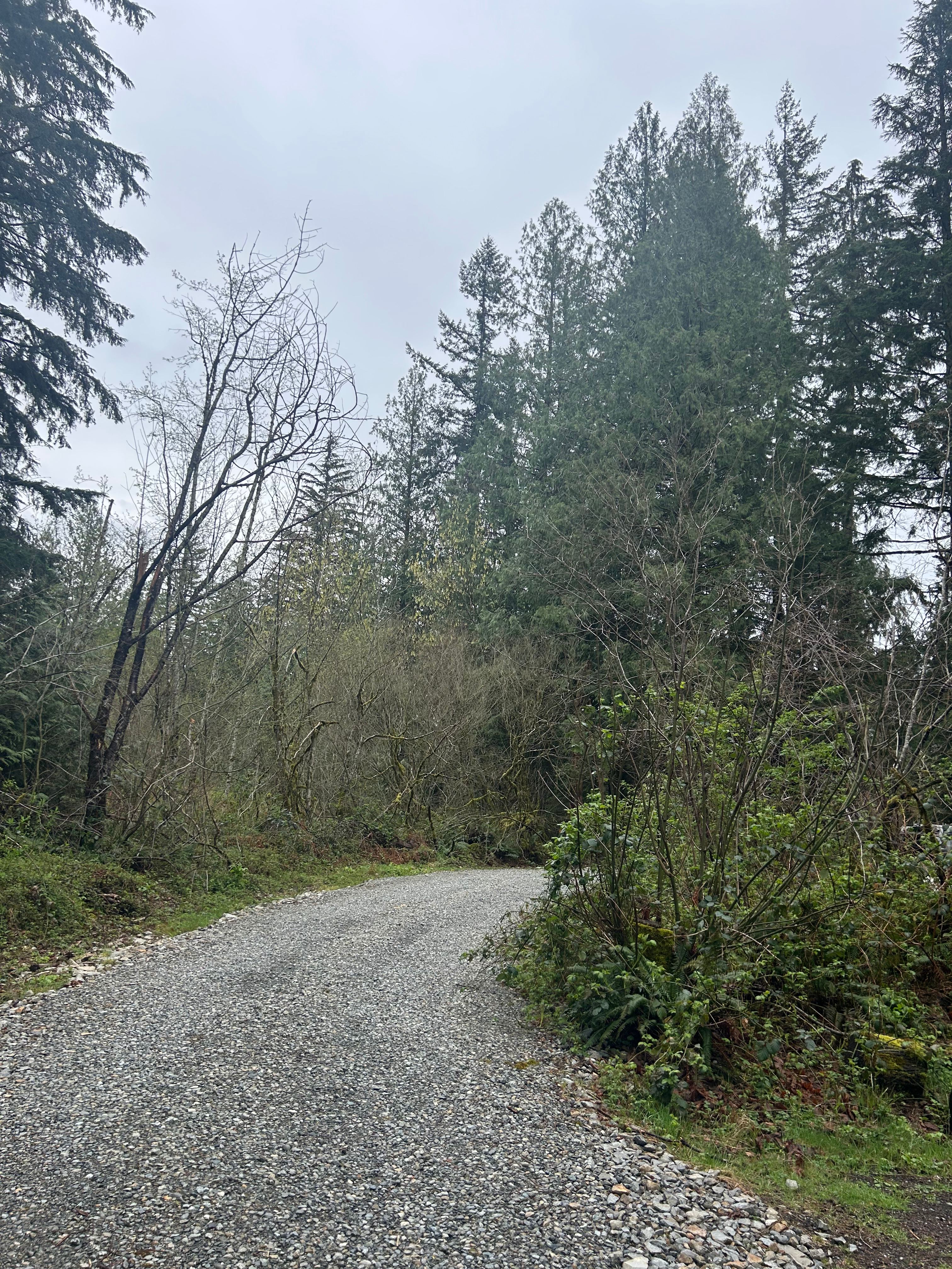 Pine & Peak Retreat