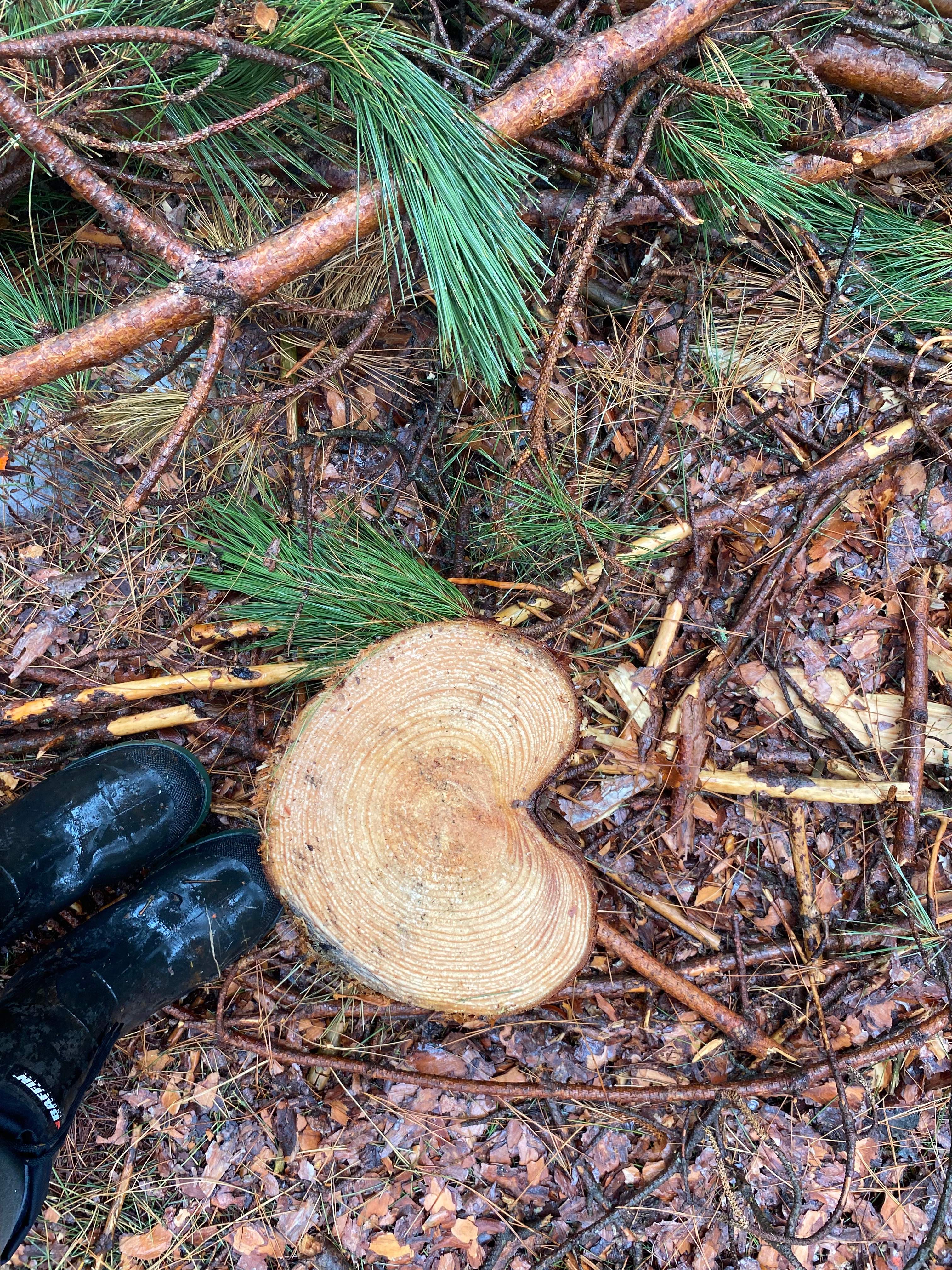 100 acre forest! 4 min to Eganville