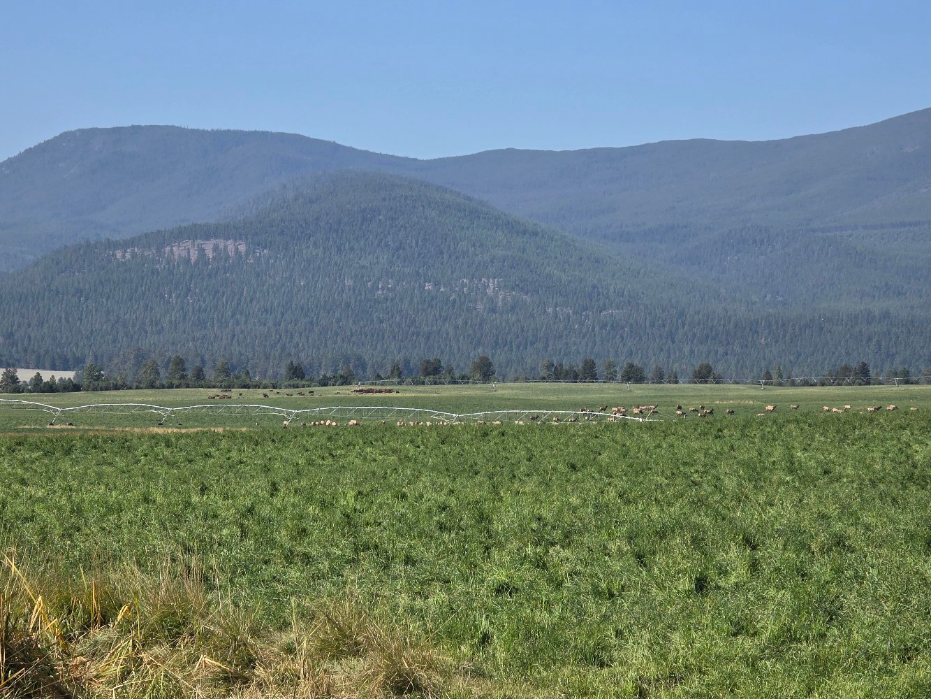 Geary Brothers Ranch