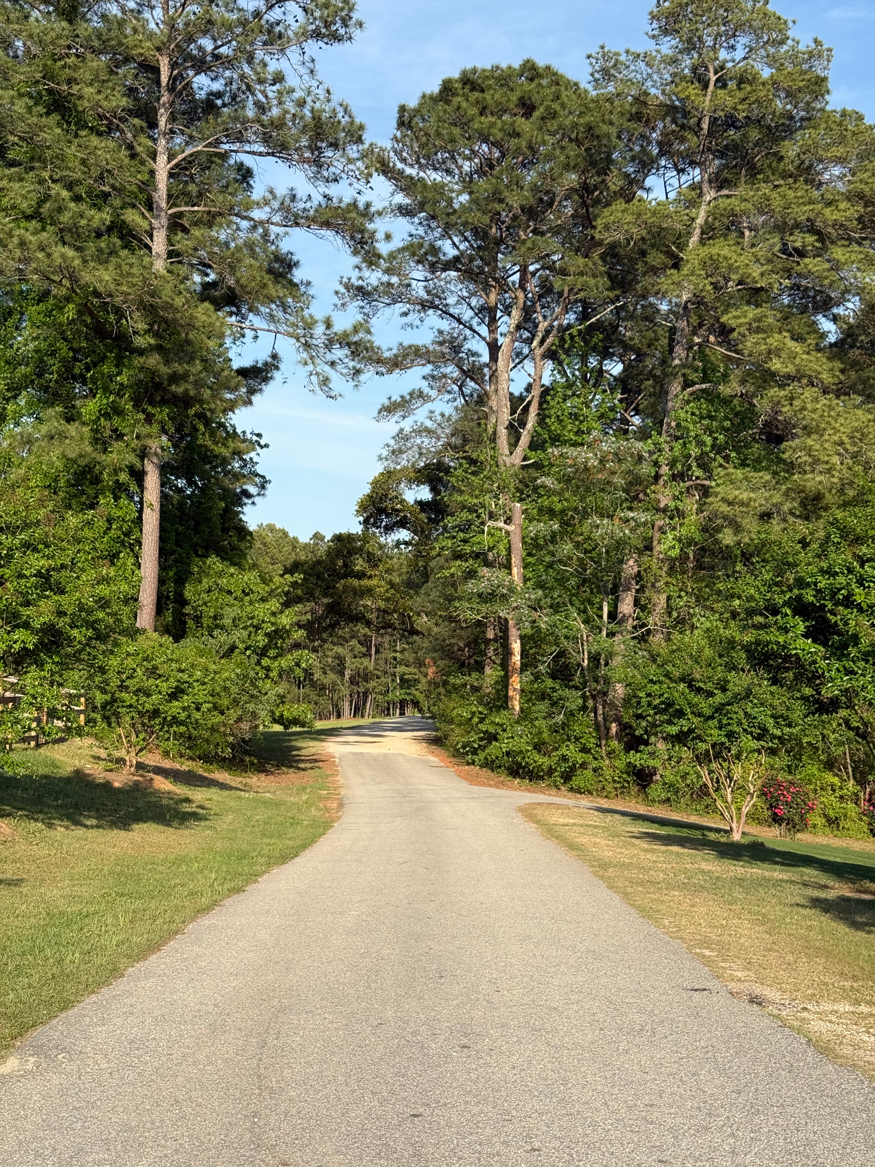 Entrance down the long dusty path to the property.