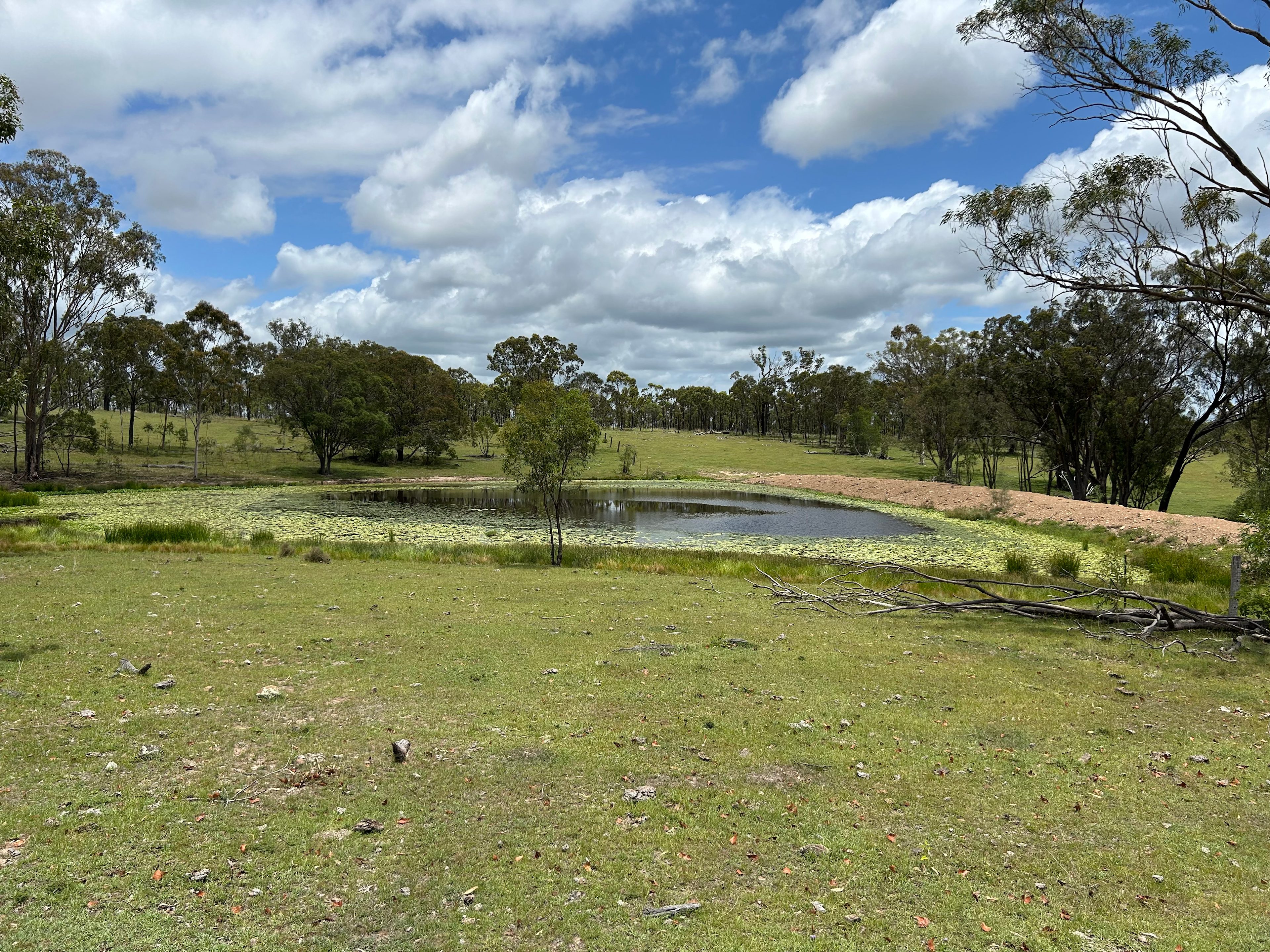Coongarra Rock Road