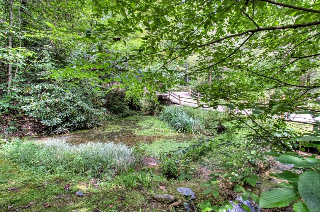 Serenity Falls Cabin