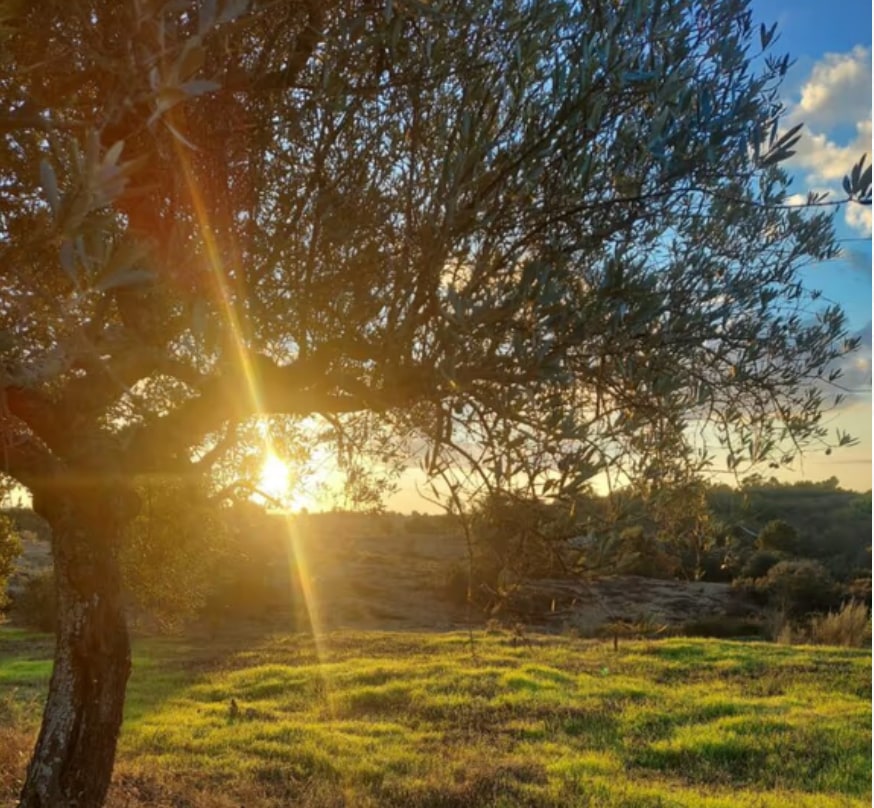 Limiar – Quiet Nature Space
