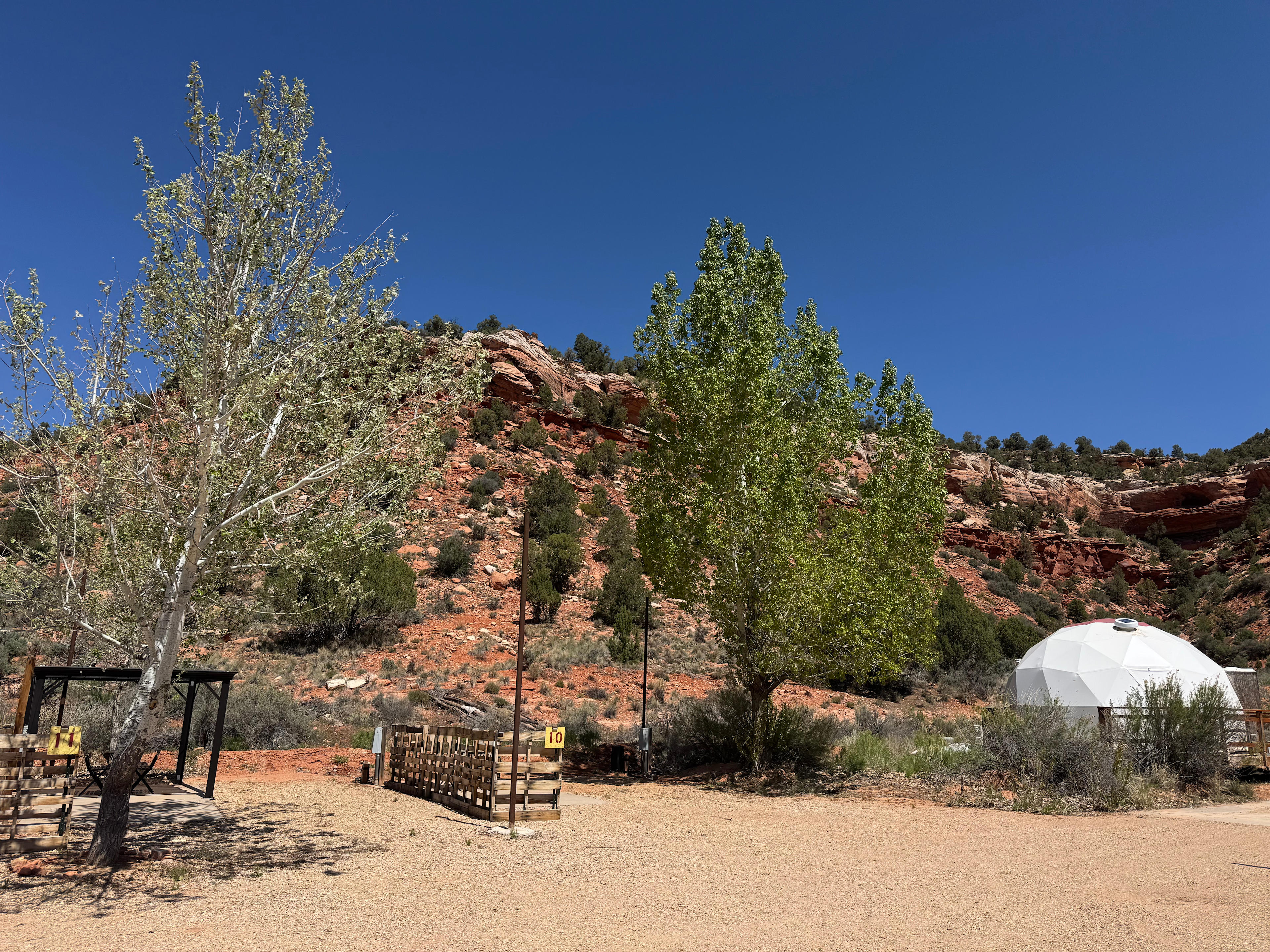 Desert Bloom Campground
