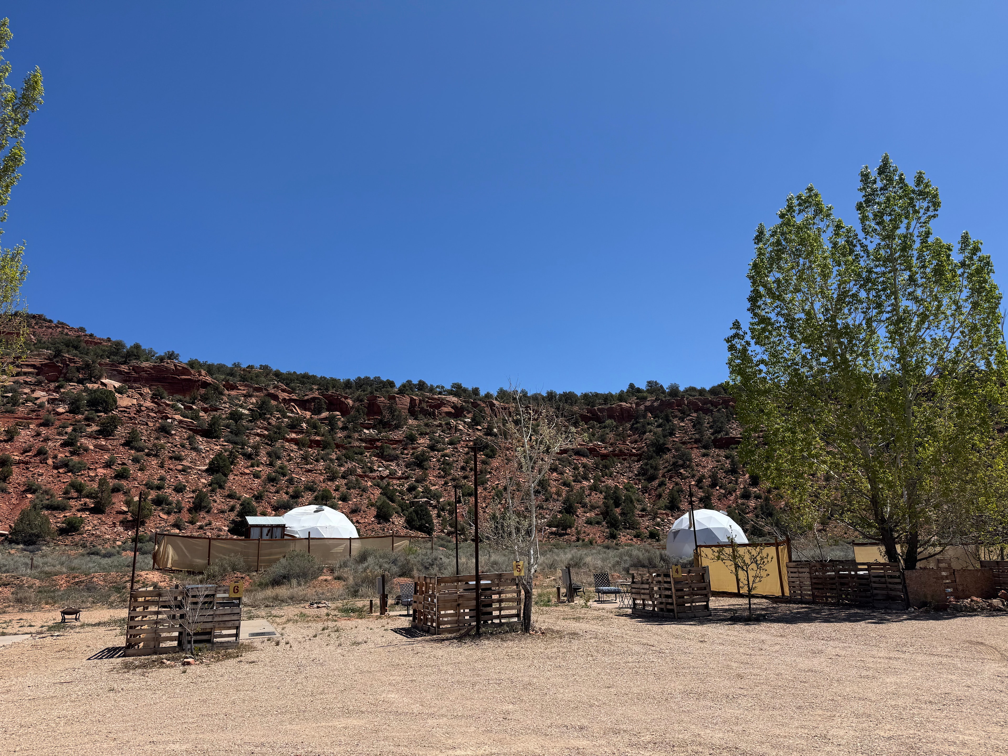 Desert Bloom Campground