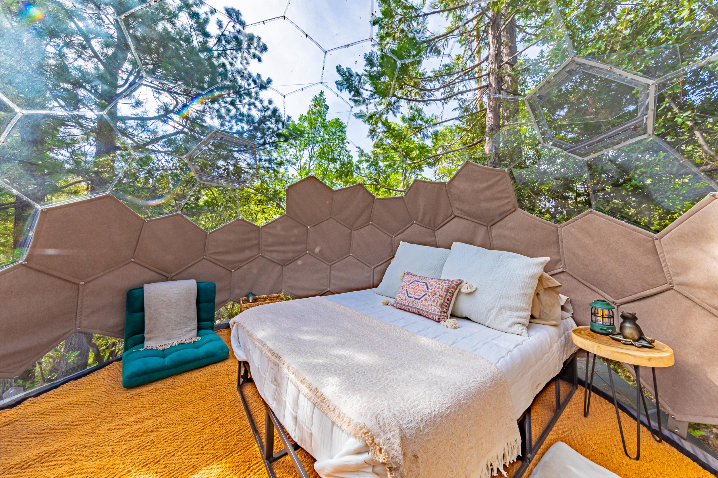 Stargazing Dome with Forest Cottage- Lakefront
