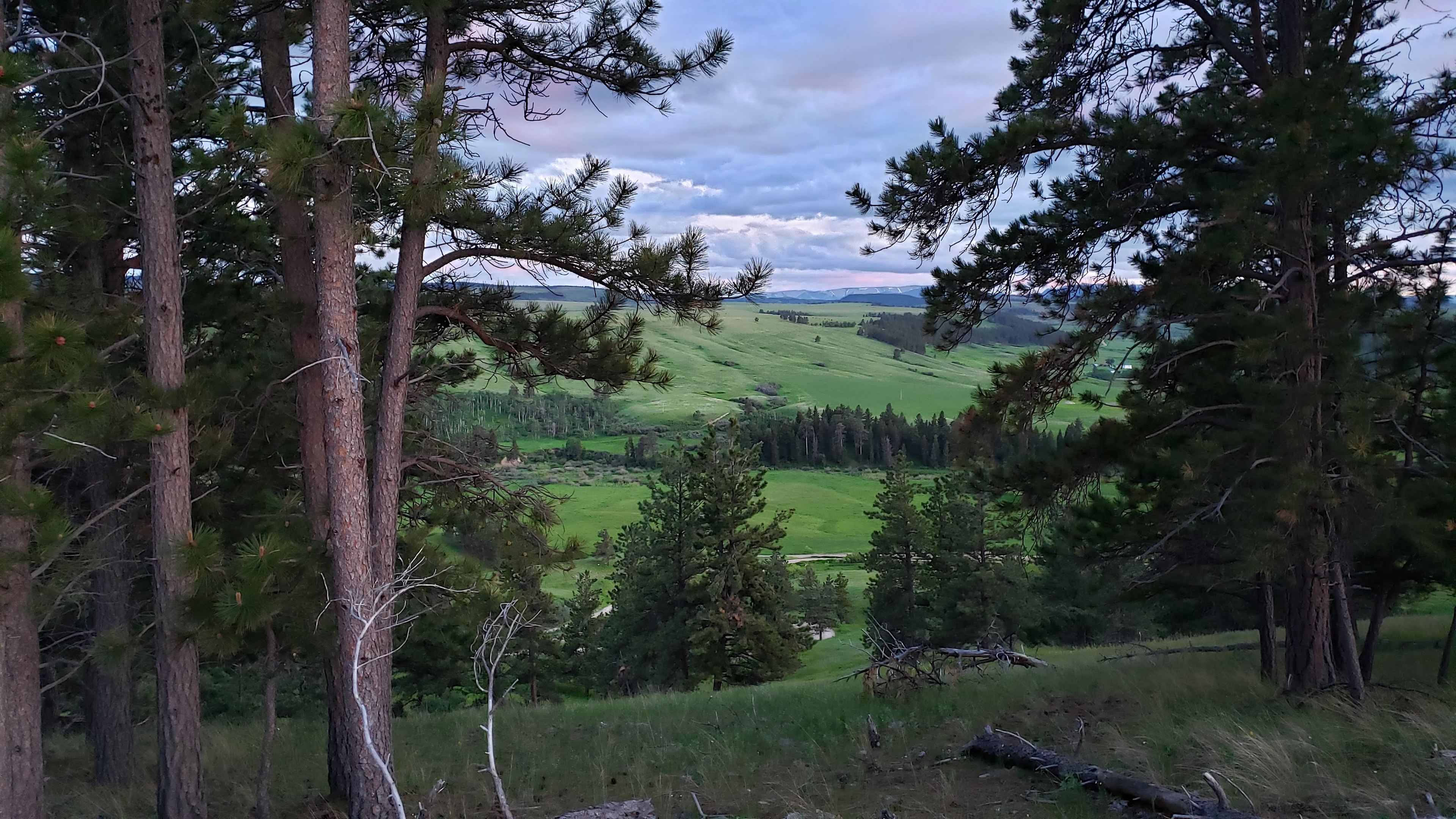 Secluded Forest Grove Ranch Camp